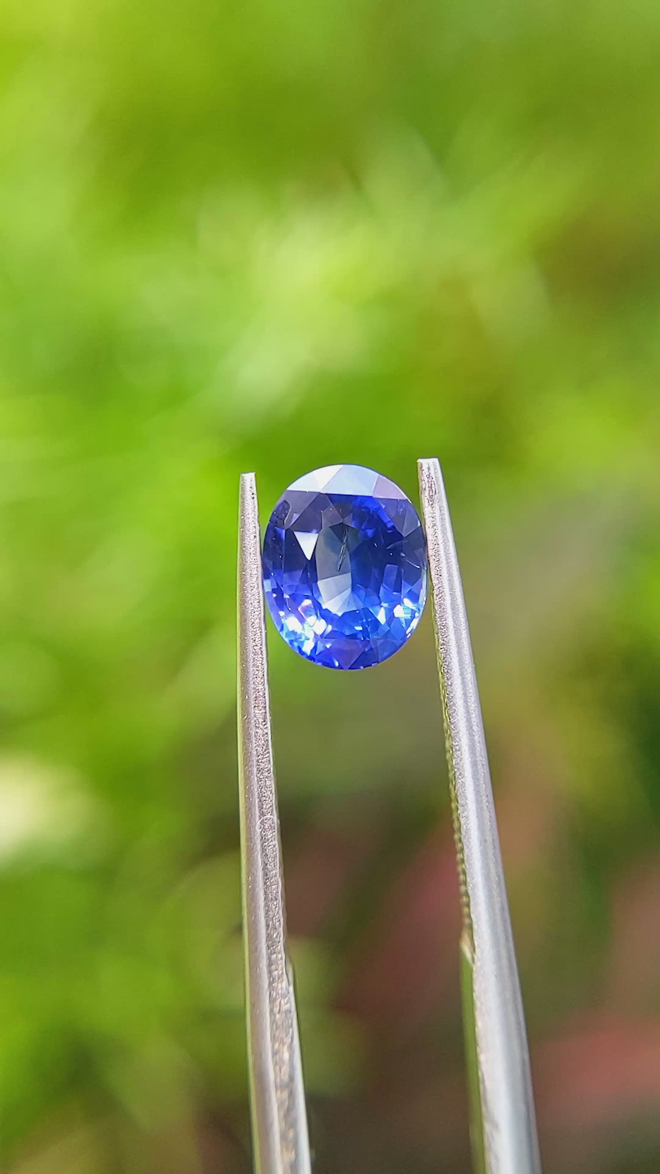 1.53 Ct. Blue Sapphire from Ceylon (Sri Lanka) Size Video