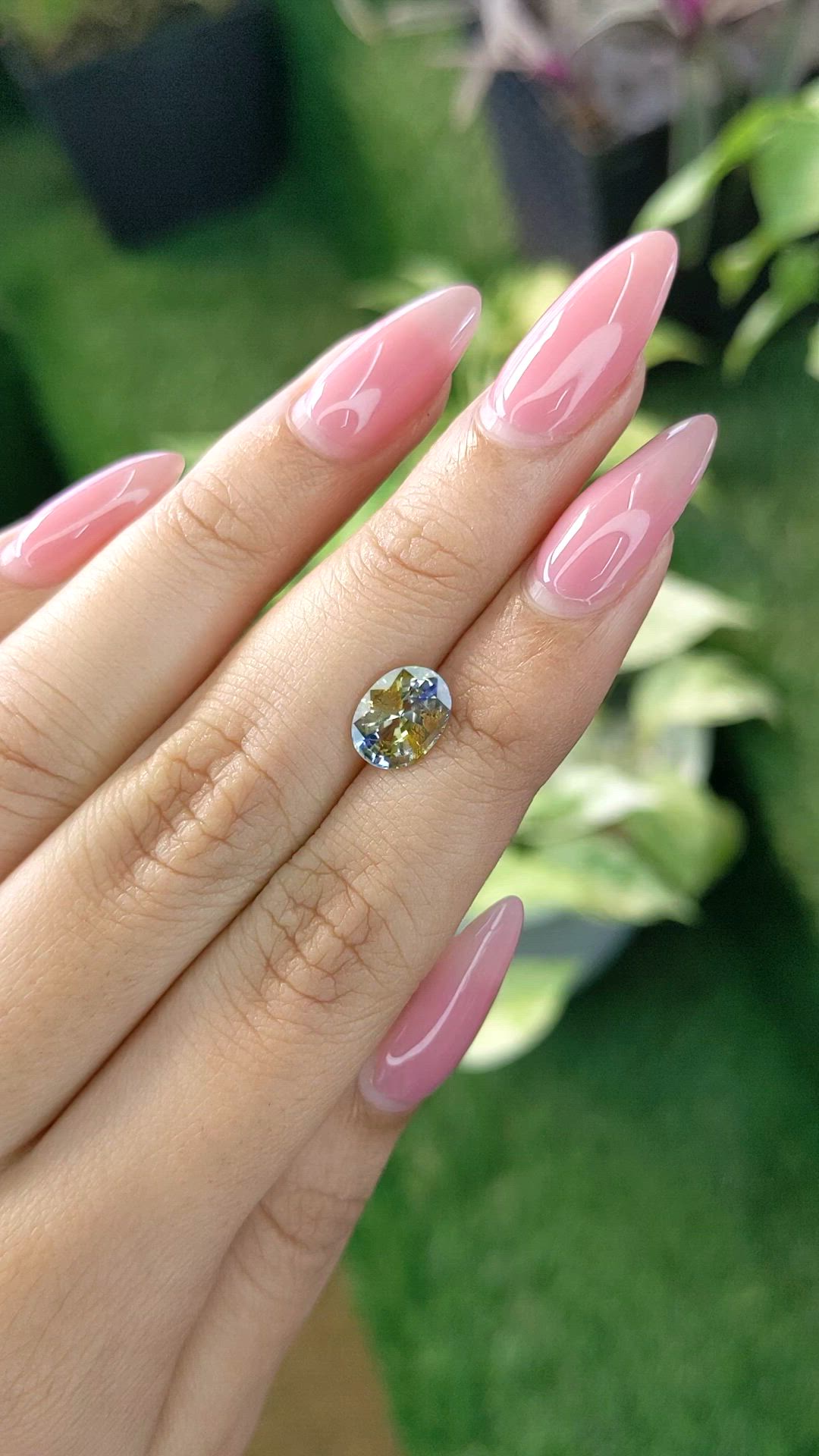 2.05 Ct. Bi Color Sapphire from Ceylon (Sri Lanka) Size Video