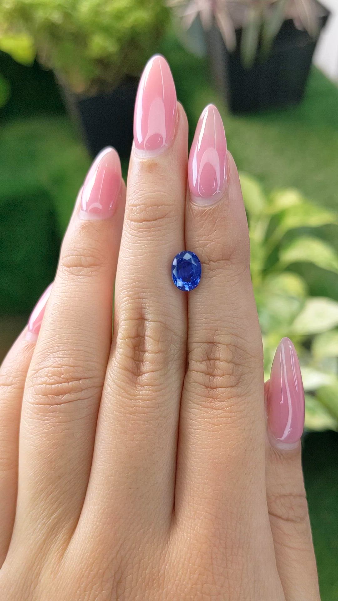 1.70 Ct. Blue Sapphire from Ceylon (Sri Lanka) Size Video