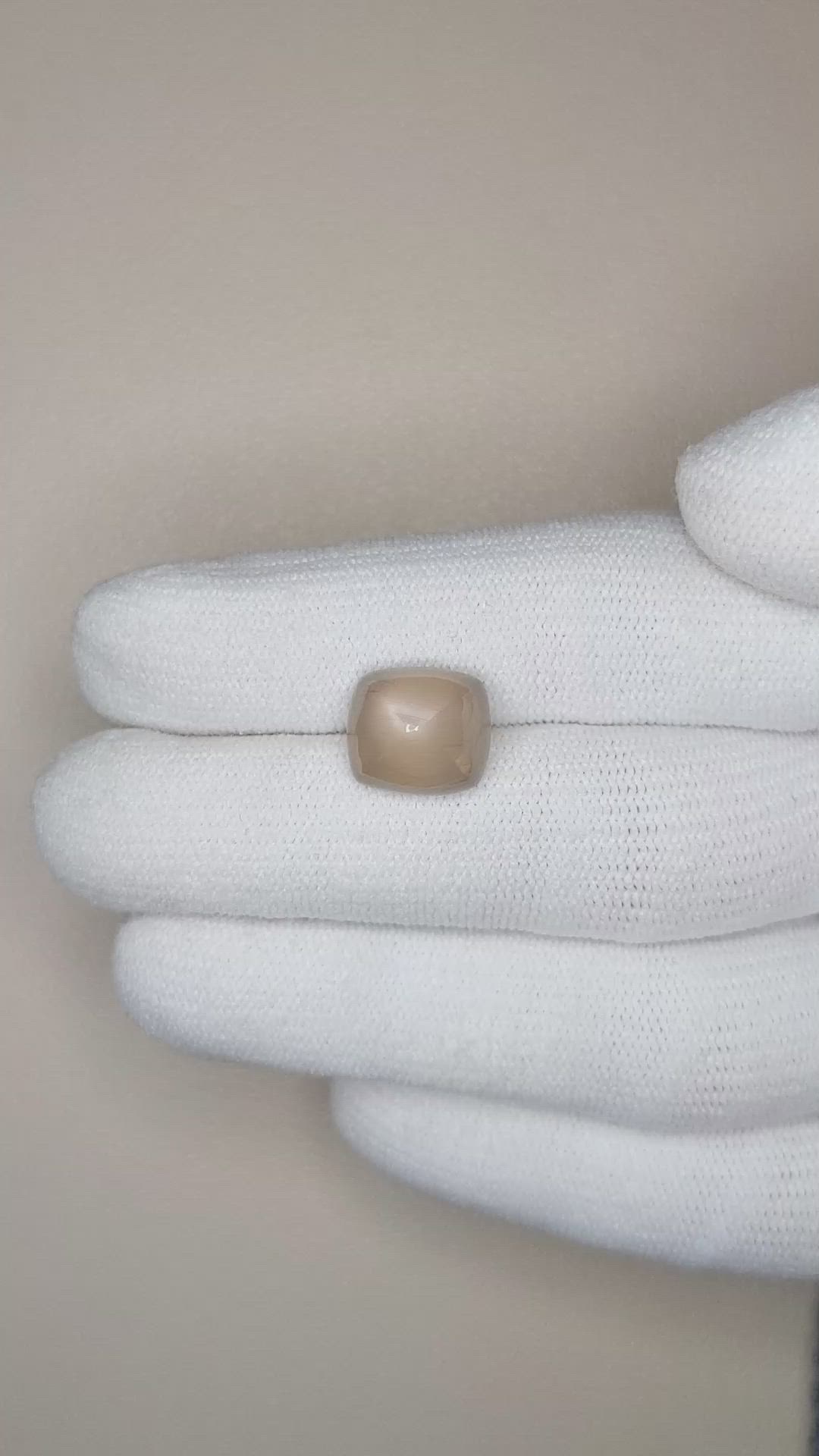 6.78 Ct. Brown Cabochon Sapphire from Ceylon (Sri Lanka) Size Video