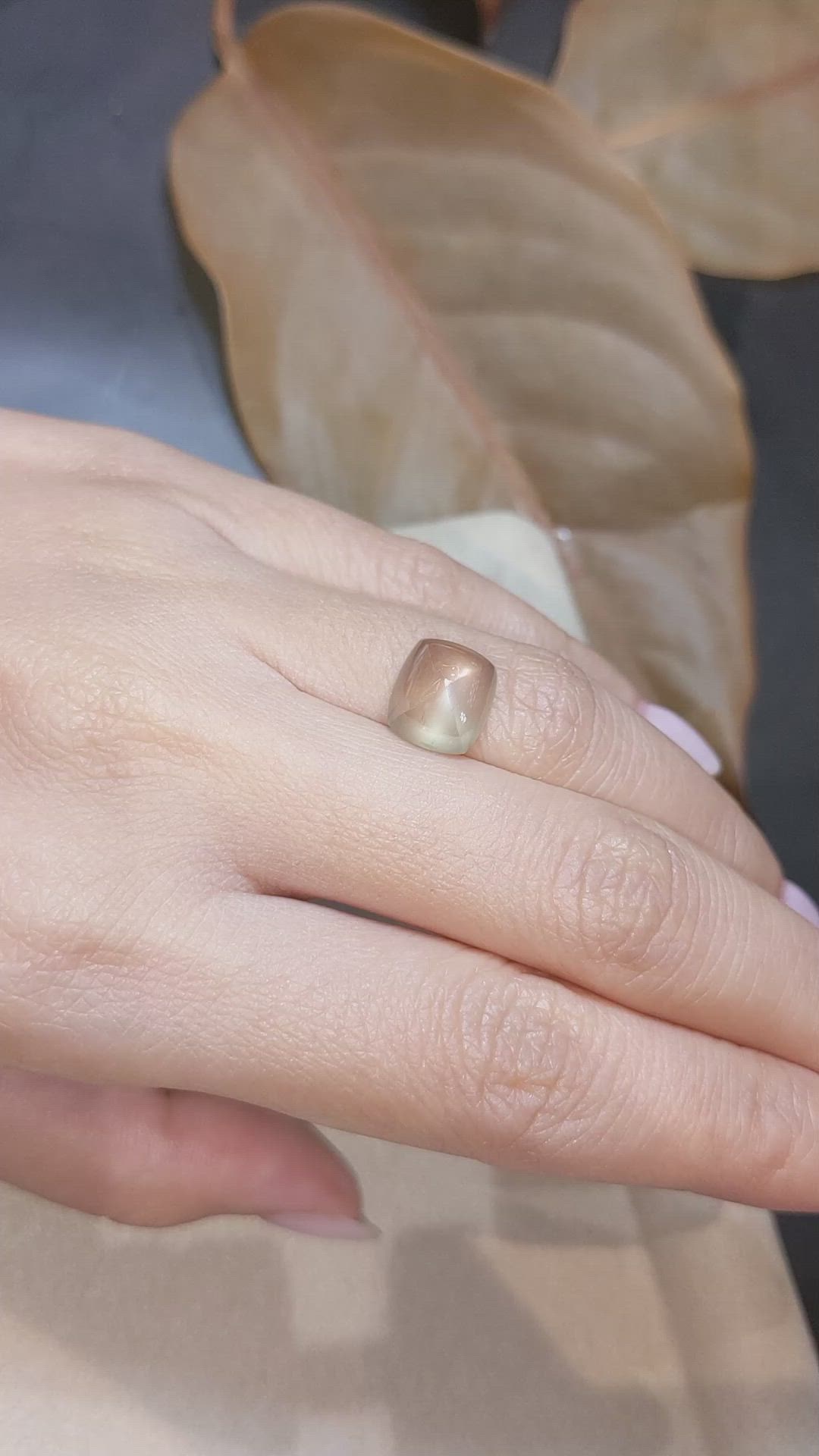 6.78 Ct. Brown Cabochon Sapphire from Ceylon (Sri Lanka) Size Video
