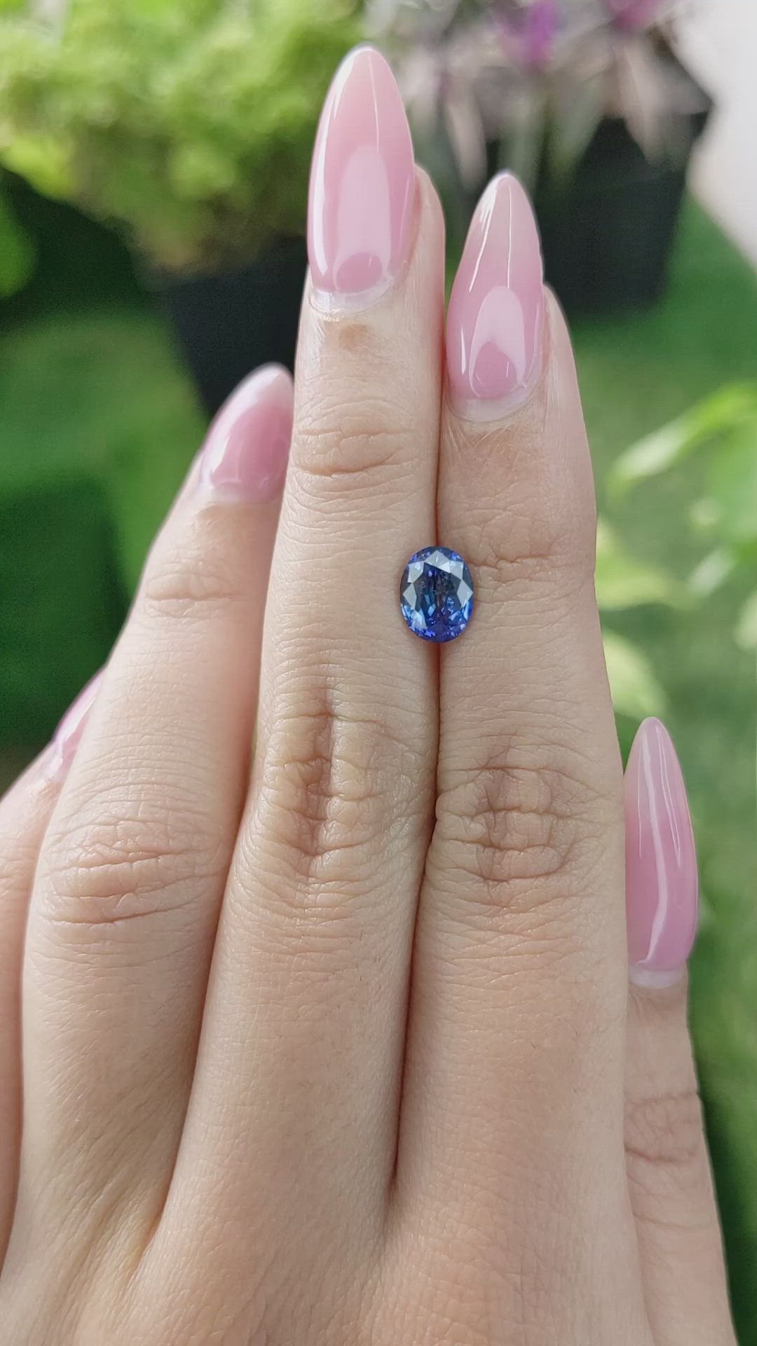1.65 Ct. Blue Sapphire from Ceylon (Sri Lanka) Size Video