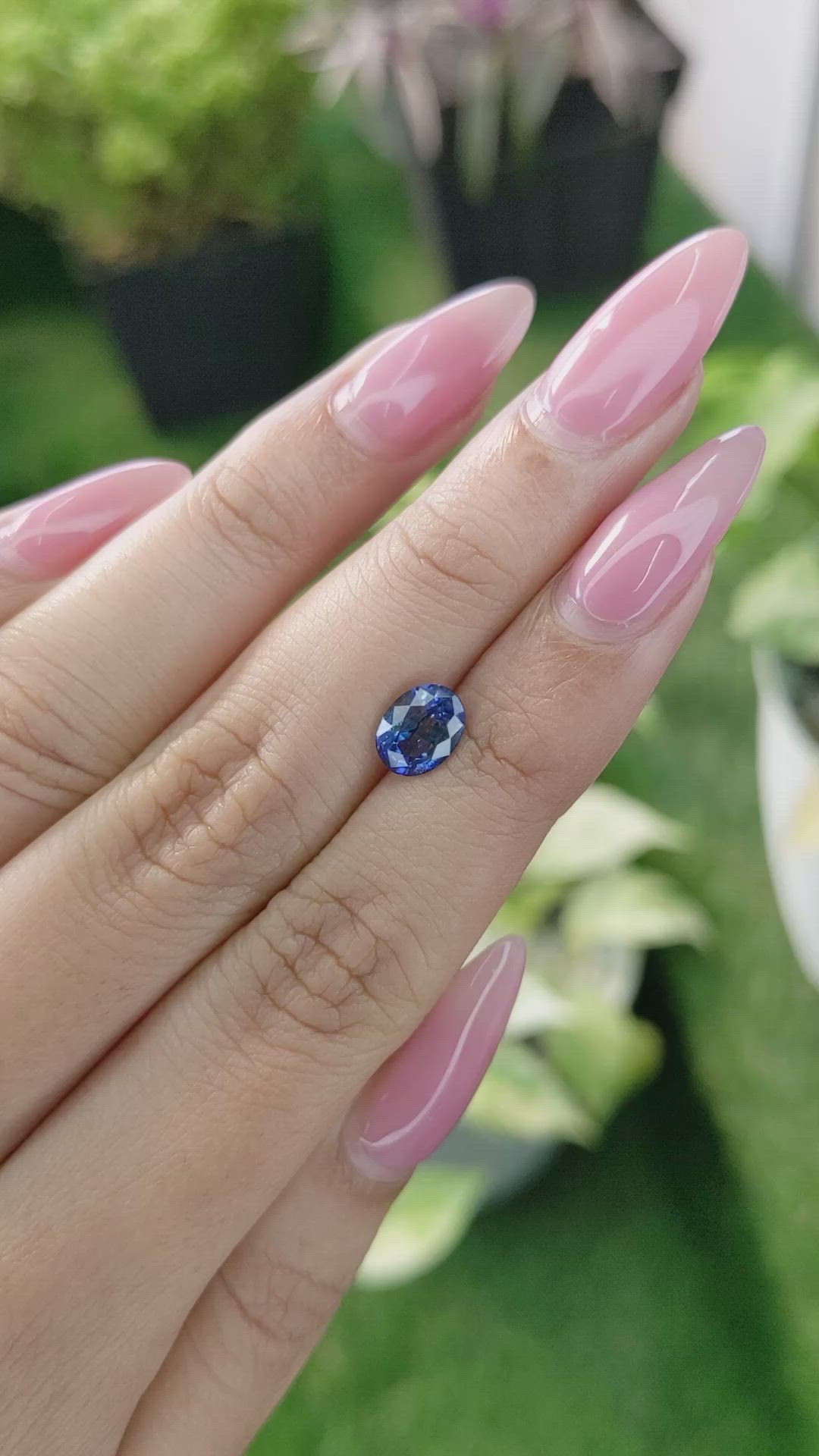 1.65 Ct. Blue Sapphire from Ceylon (Sri Lanka) Size Video