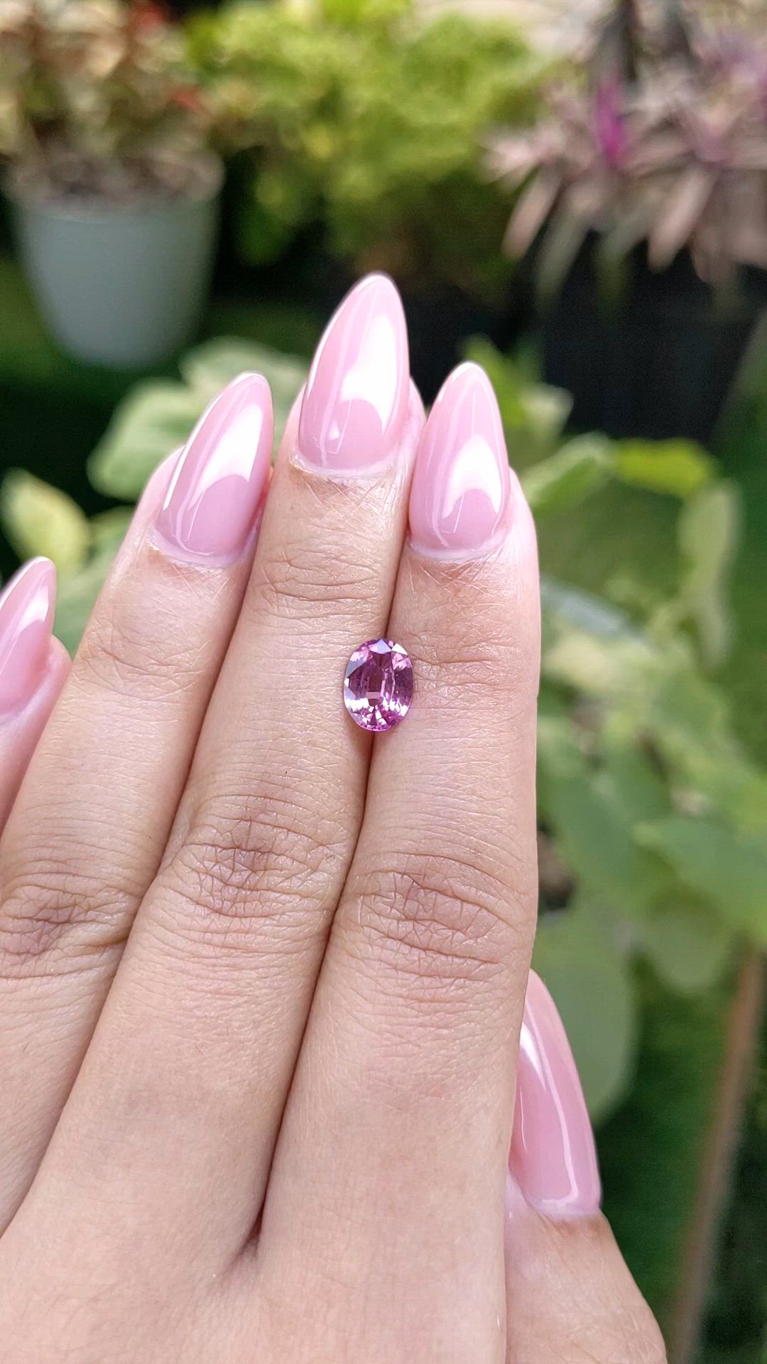 1.25 Ct. Purplish Pink Sapphire from Ceylon (Sri Lanka) Size Video