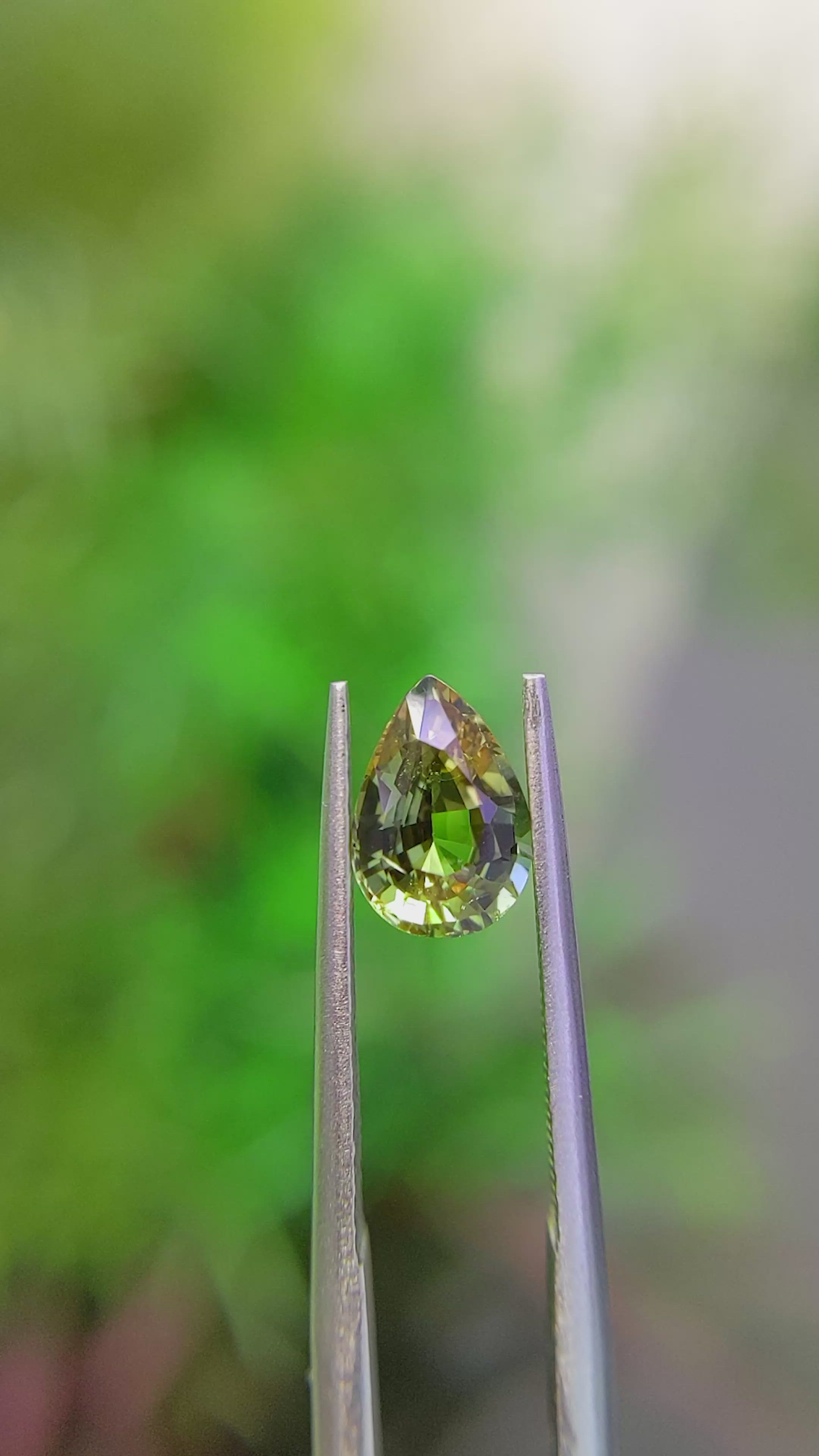 1.56 Ct. Yellowish Green Sapphire from Ceylon (Sri Lanka) Size Video