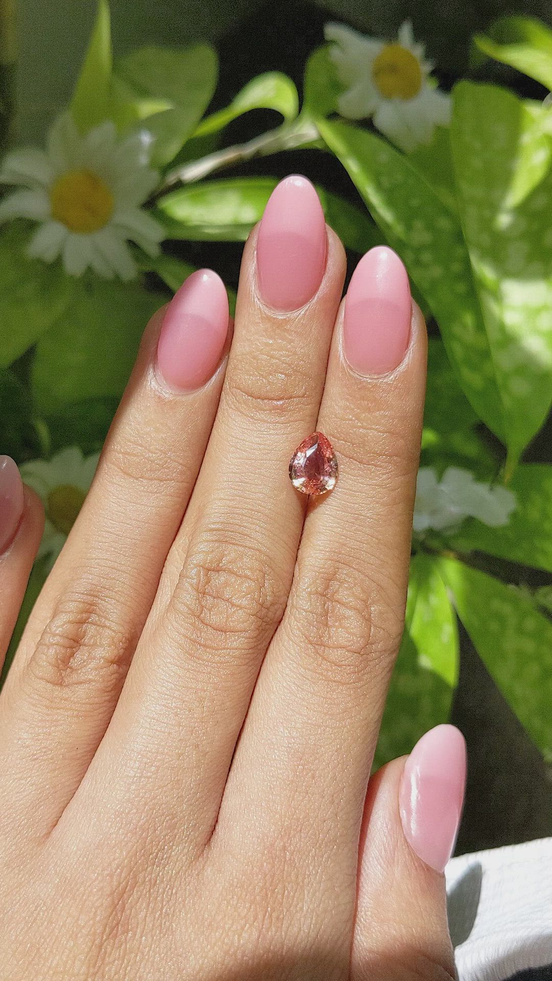 1.51 Ct. Padparadscha Sapphire from Ceylon (Sri Lanka) Size Video