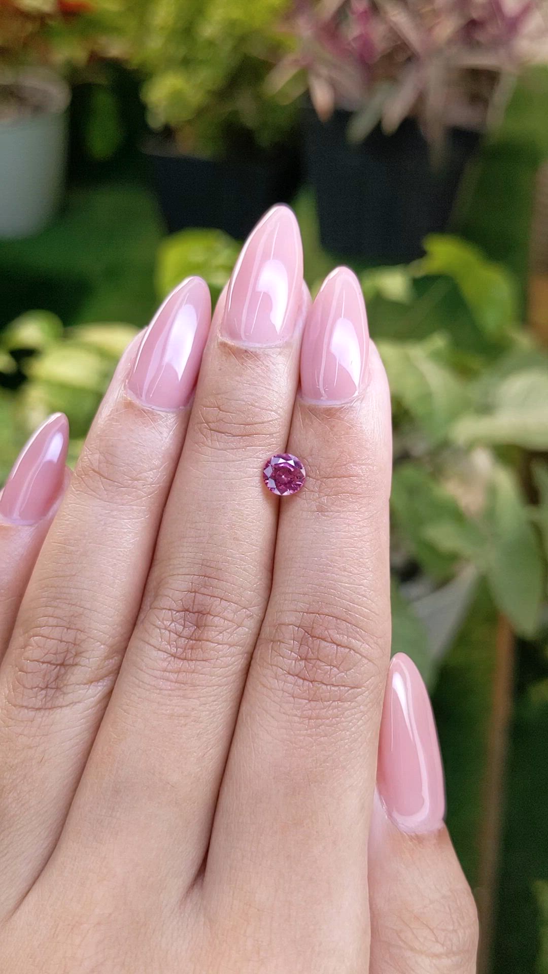 0.76 Ct. Pink Sapphire from Ceylon (Sri Lanka) Size Video