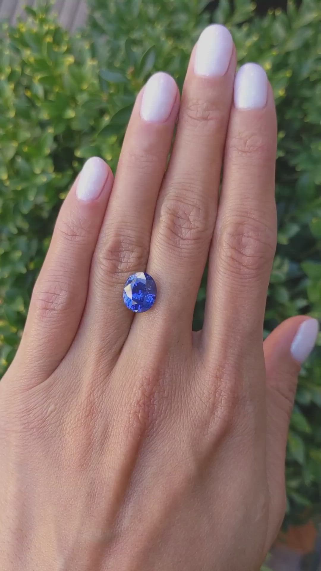 4.61 Ct. Blue Sapphire from Ceylon (Sri Lanka) Size Video