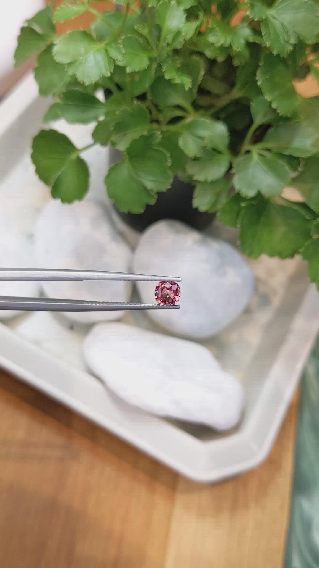 0.80 Ct. Reddish Pink Sapphire from Ceylon (Sri Lanka) Size Video