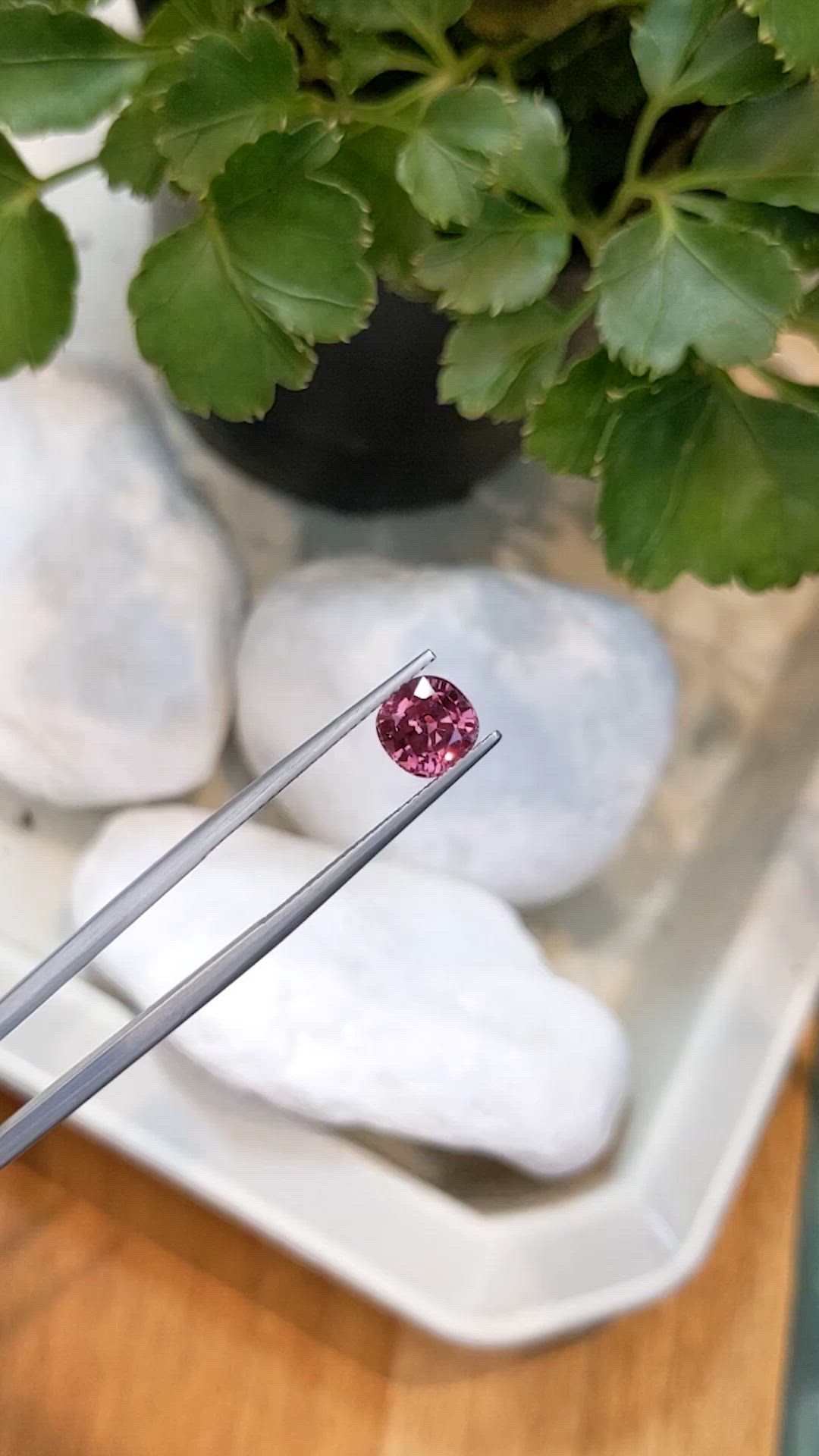 1.56 Ct. Reddish Pink Sapphire from Ceylon (Sri Lanka) Size Video