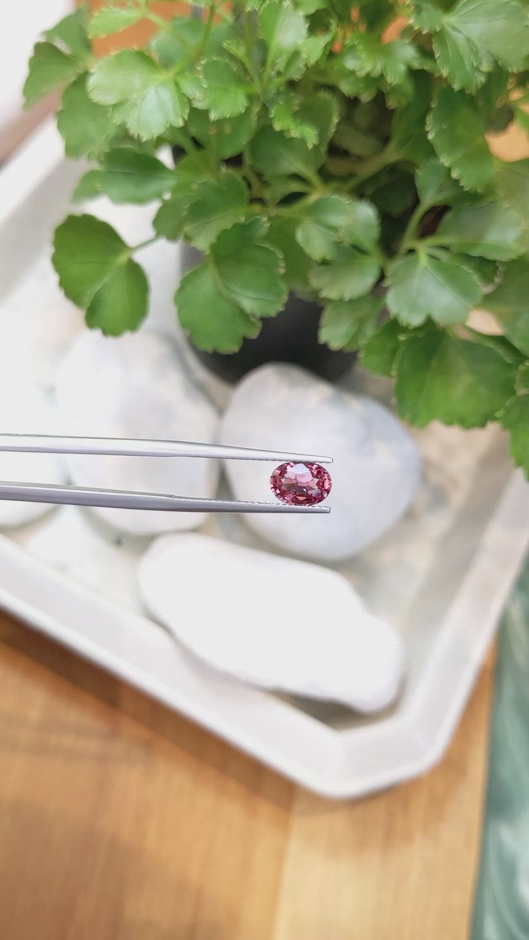 1.50 Ct. Reddish Pink Sapphire from Ceylon (Sri Lanka) Size Video