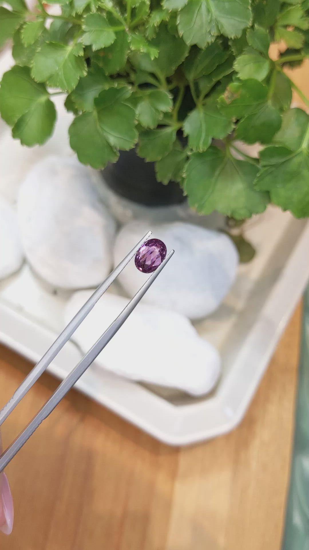 1.58 Ct. Purple Sapphire from Ceylon (Sri Lanka) Size Video