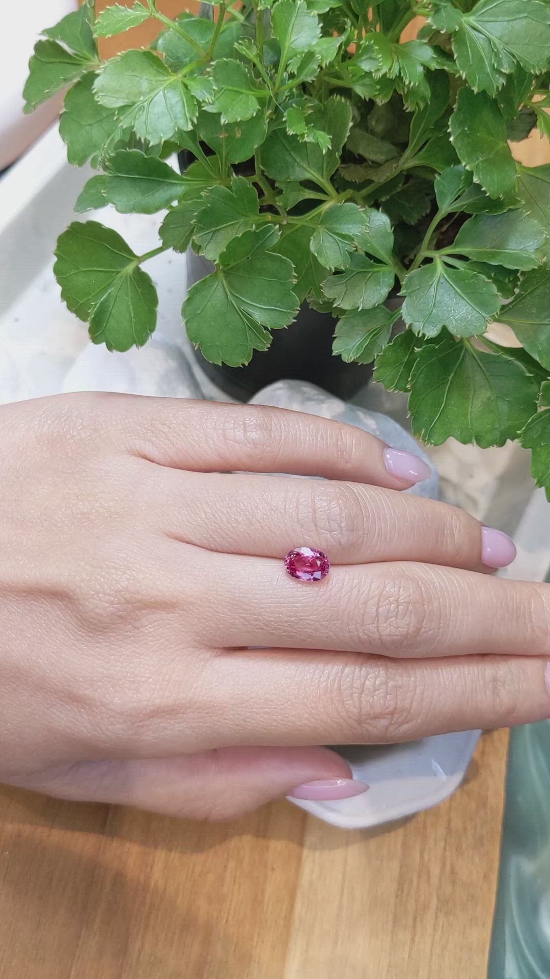 1.76 Ct. Reddish Pink Sapphire from Ceylon (Sri Lanka) Size Video