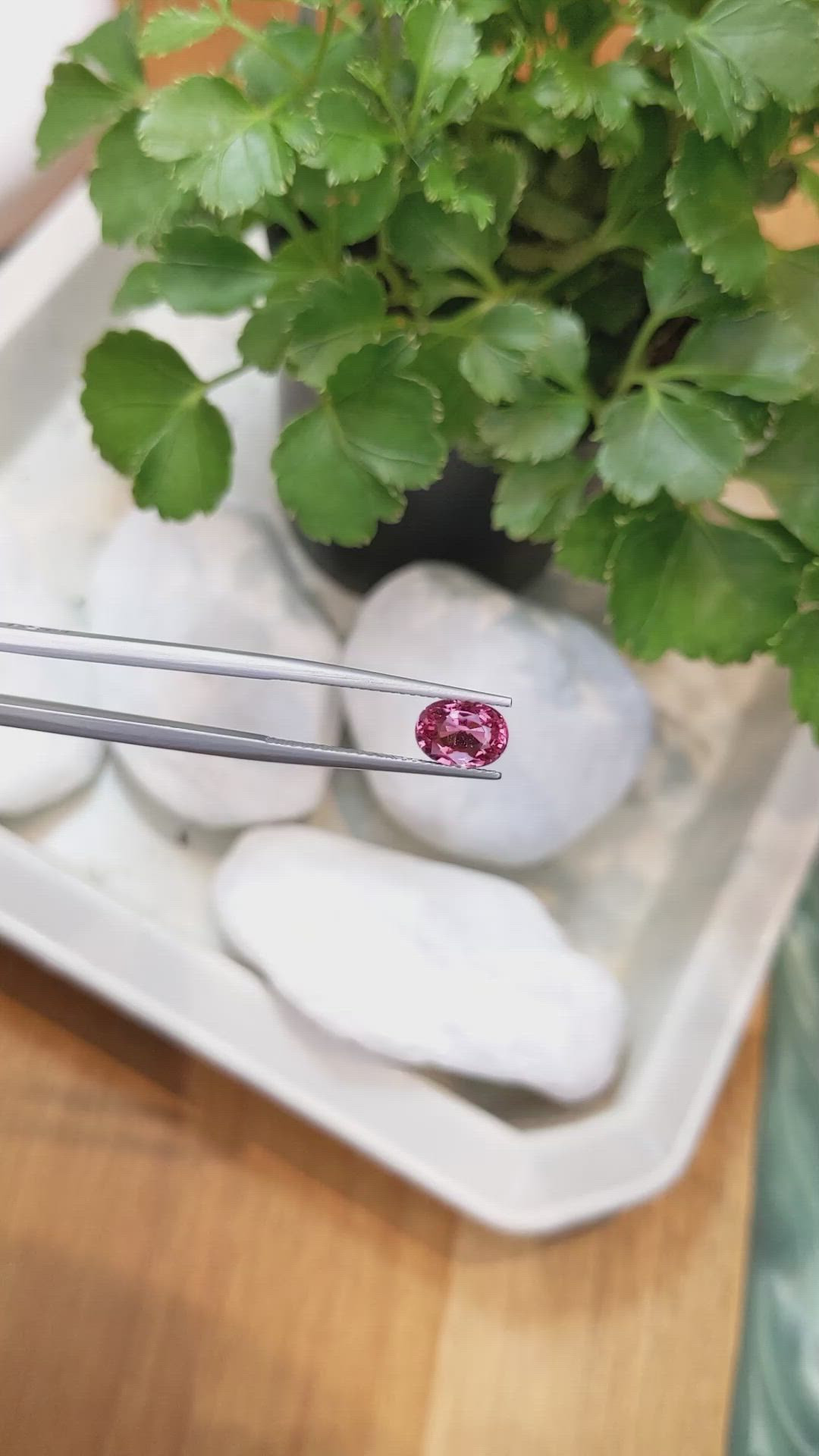 1.76 Ct. Reddish Pink Sapphire from Ceylon (Sri Lanka) Size Video