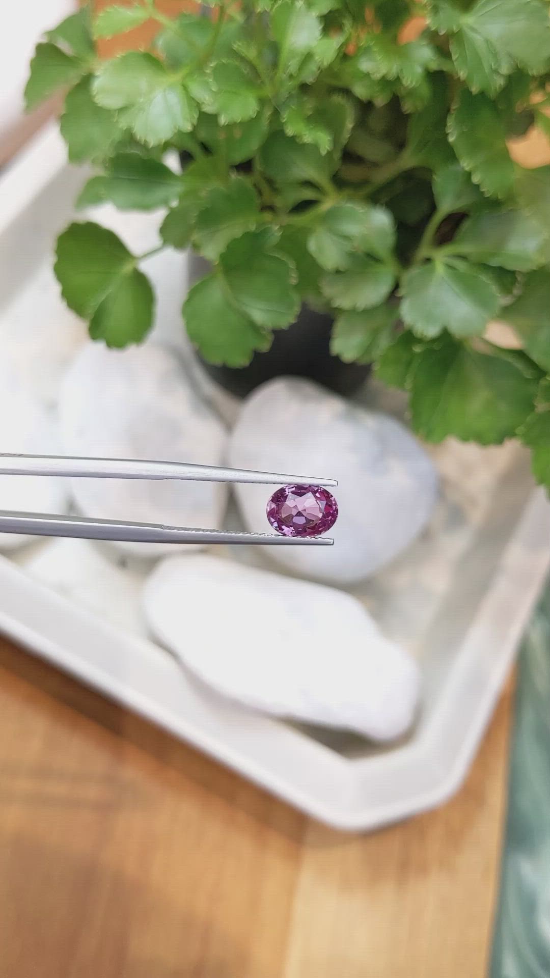 2.02 Ct. Purplish Pink Sapphire from Ceylon (Sri Lanka) Size Video