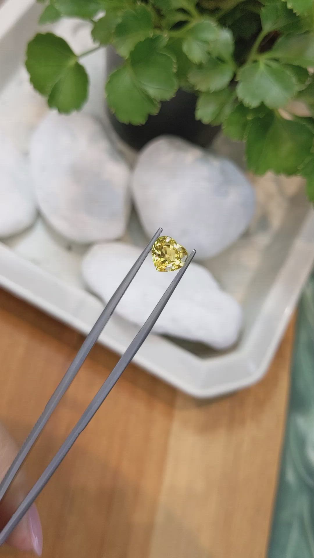 1.70 Ct. Yellow Sapphire from Ceylon (Sri Lanka) Size Video