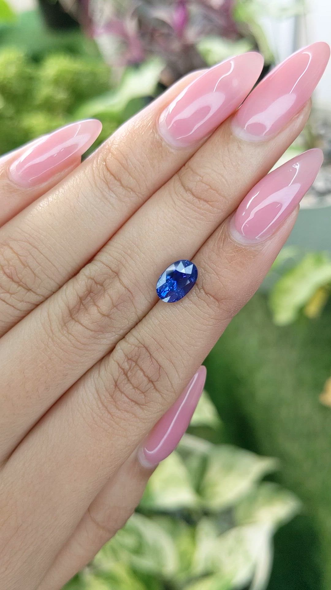 2.30 Ct. Blue Sapphire from Ceylon (Sri Lanka) Size Video