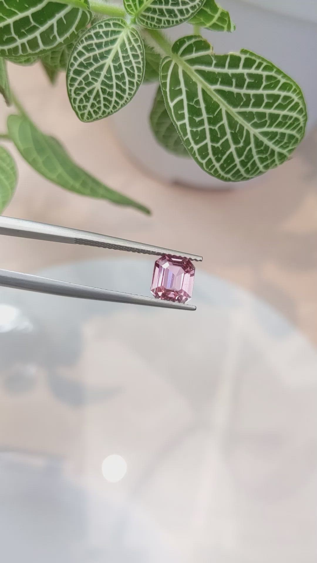 1.64 Ct. Pink Sapphire from Ceylon (Sri Lanka) Size Video