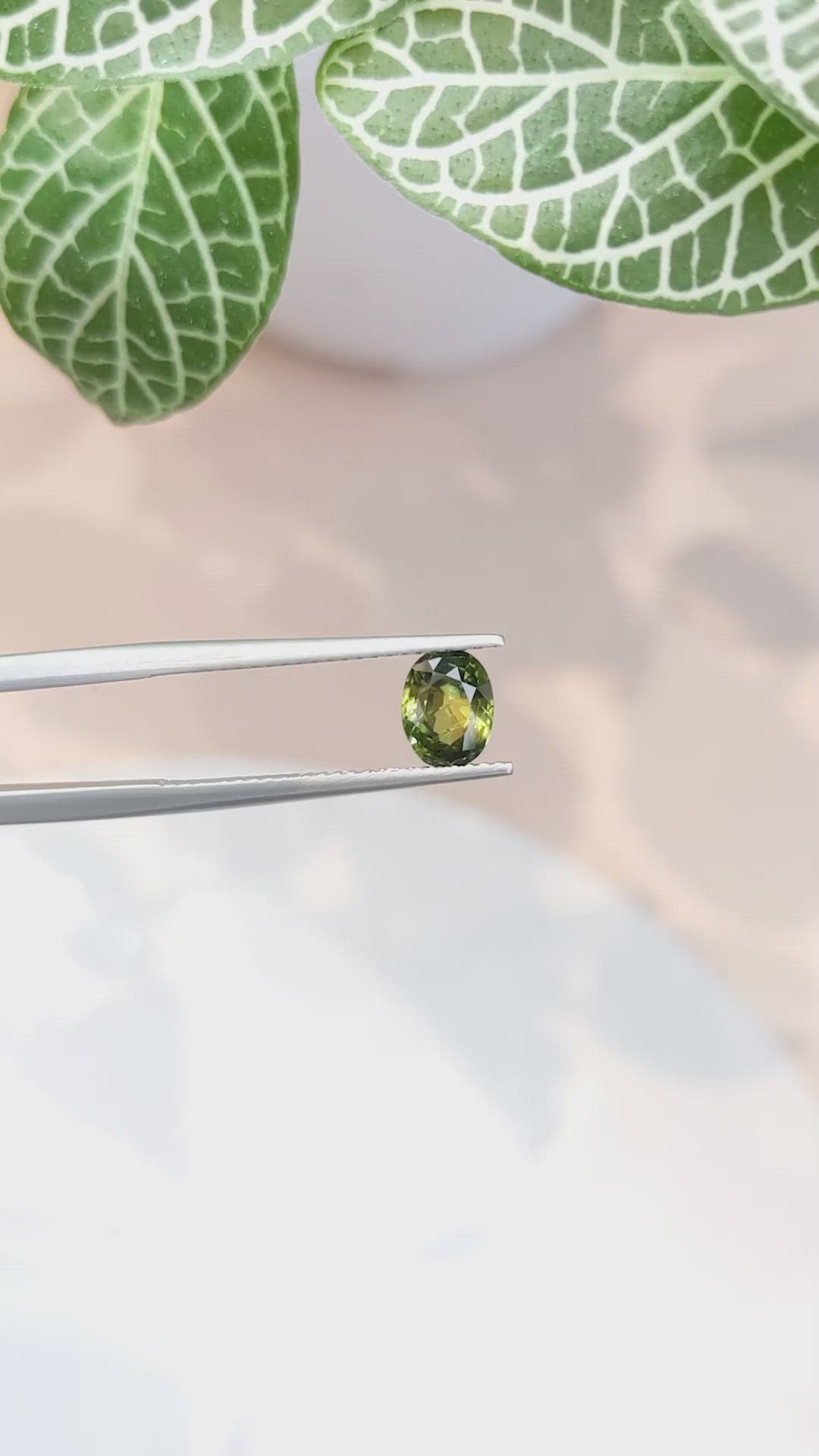 1.16 Ct. Yellowish Green Sapphire from Ceylon (Sri Lanka) Size Video
