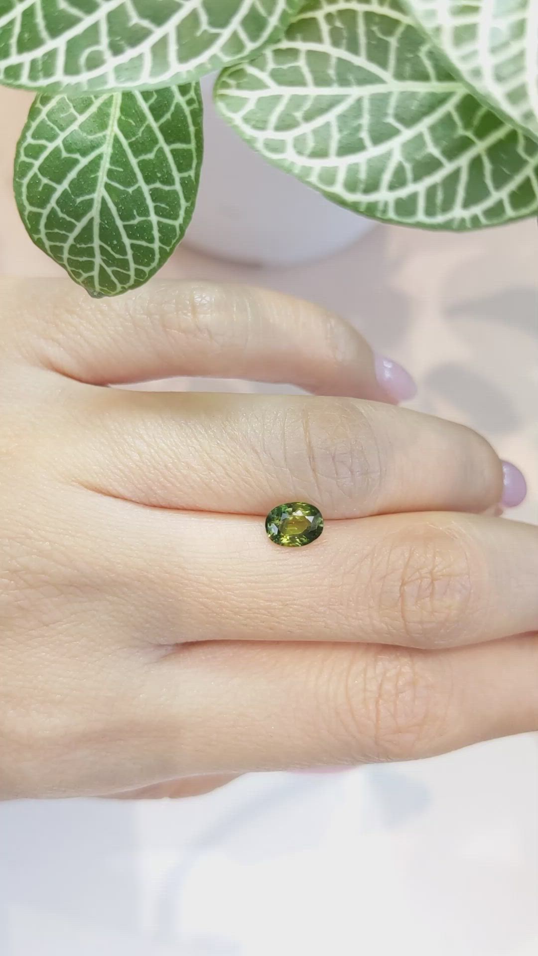 1.16 Ct. Yellowish Green Sapphire from Ceylon (Sri Lanka) Size Video