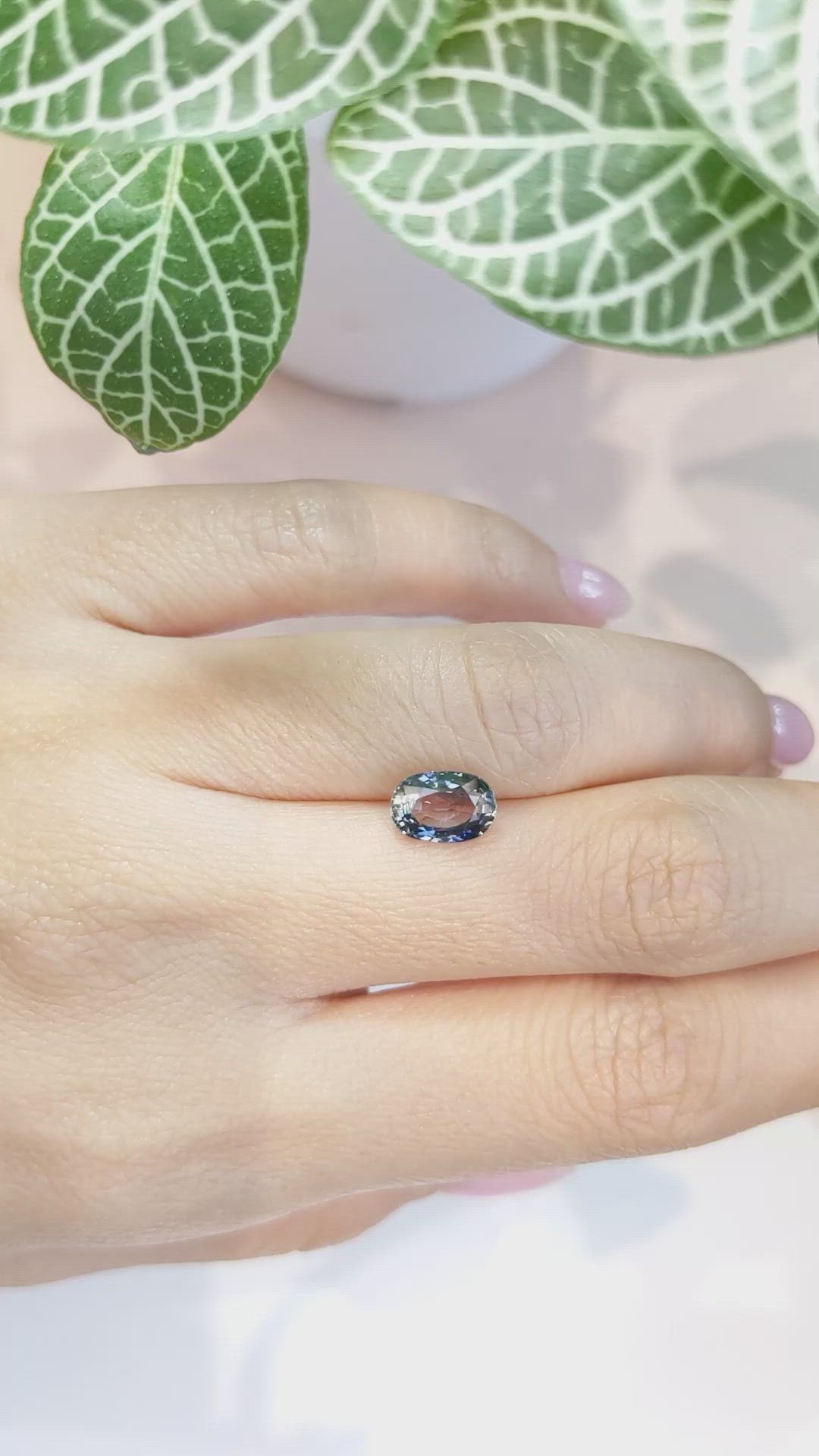 2.22 Ct. Bi Color Sapphire from Ceylon (Sri Lanka) Size Video