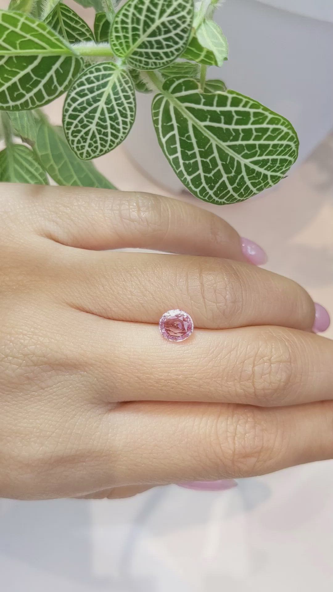 1.24 Ct. Pink Sapphire from Ceylon (Sri Lanka) Size Video