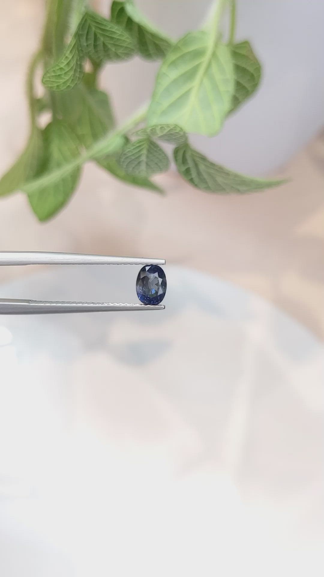 1.02 Ct. Blue Sapphire from Ceylon (Sri Lanka) Size Video