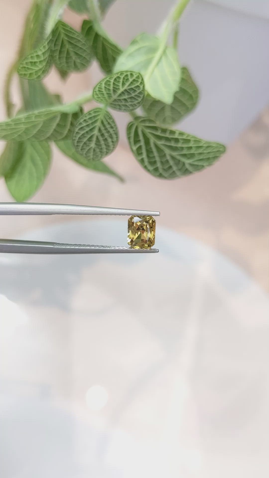 1.50 Ct. Yellowish Brown Sapphire from Ceylon (Sri Lanka) Size Video