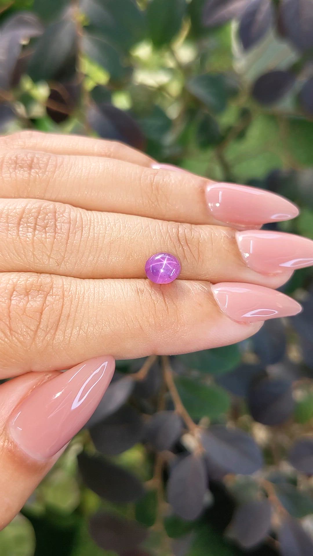 2.05 Ct. Purple Star Sapphire from Ceylon (Sri Lanka) Size Video