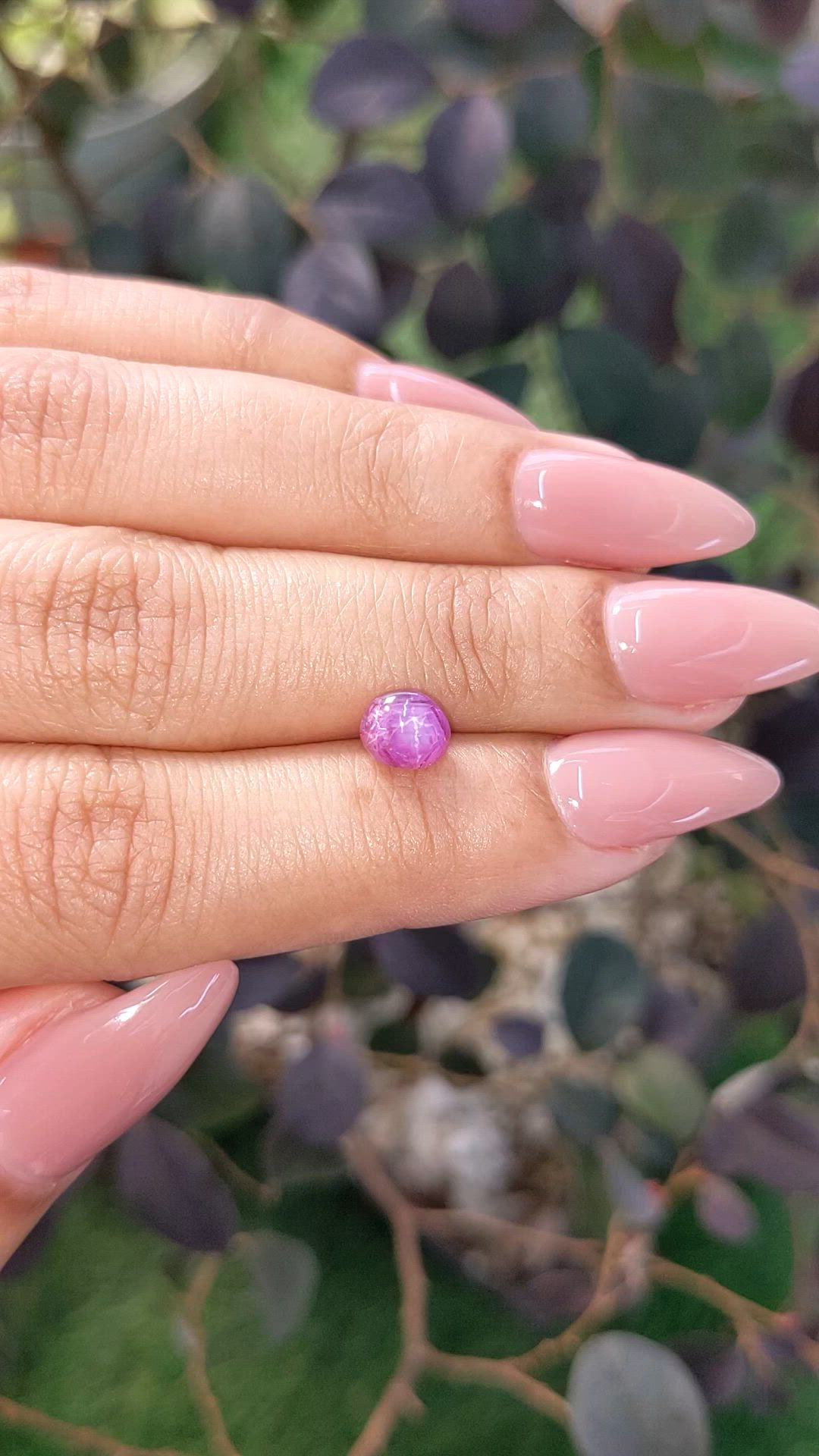 1.76 Ct. Pinkish Purple Star Sapphire from Ceylon (Sri Lanka) Size Video