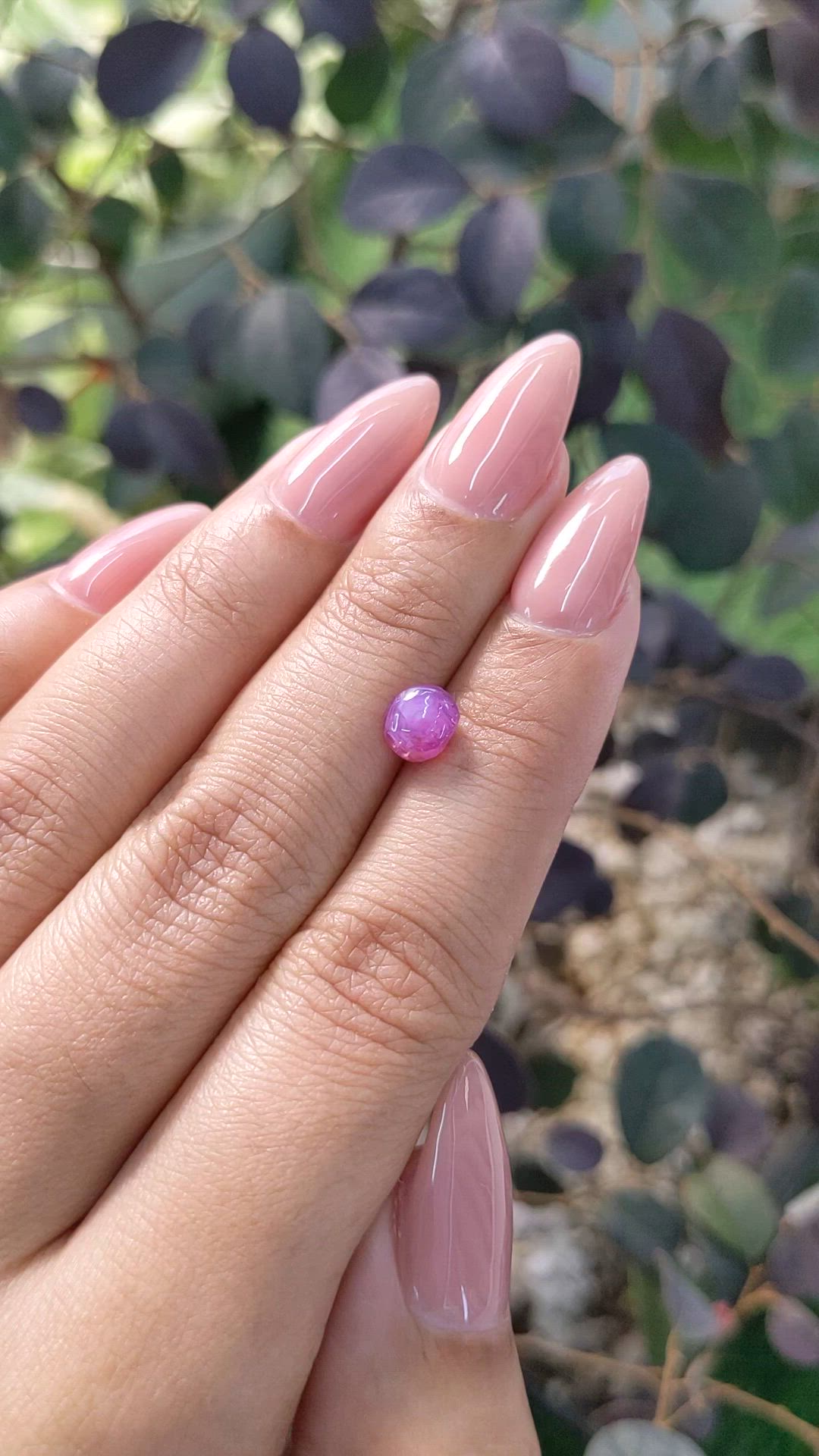 1.76 Ct. Pinkish Purple Star Sapphire from Ceylon (Sri Lanka) Size Video