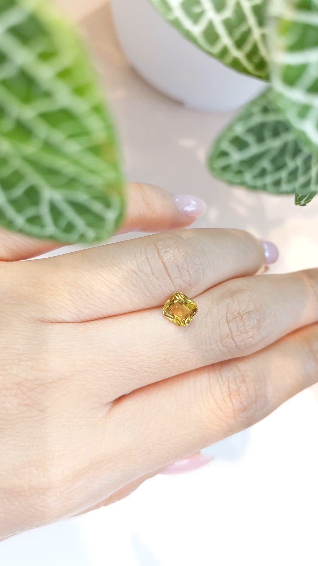 1.39 Ct. Yellow Sapphire from Ceylon (Sri Lanka) Size Video