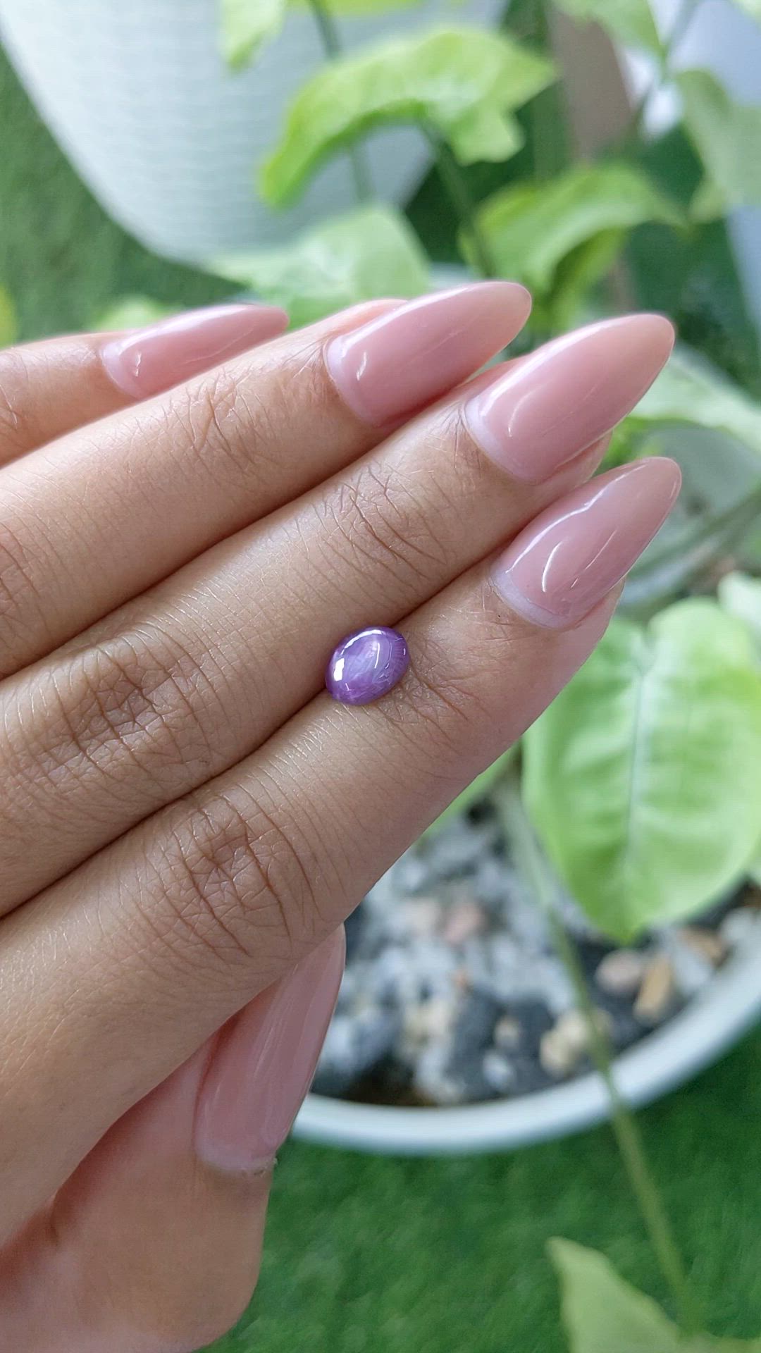 1.75 Ct. Purple Star Sapphire from Ceylon (Sri Lanka) Size Video