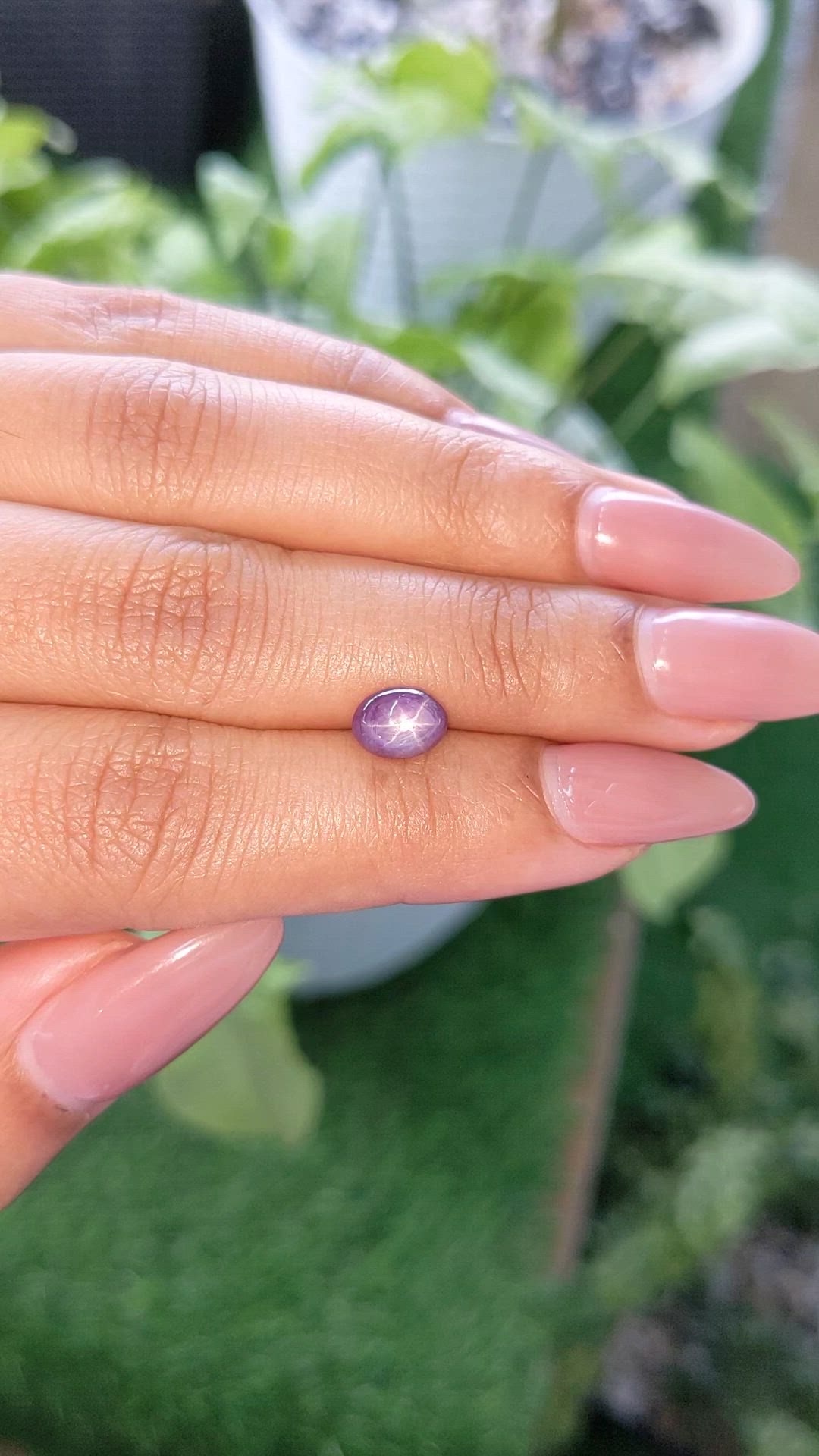 1.75 Ct. Purple Star Sapphire from Ceylon (Sri Lanka) Size Video
