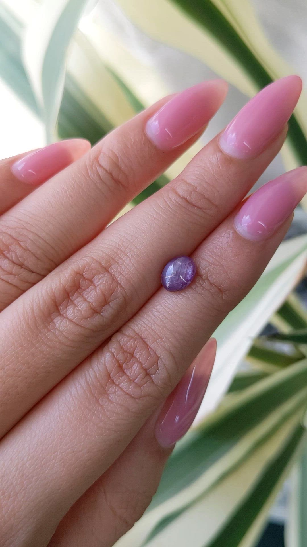 1.75 Ct. Purple Star Sapphire from Ceylon (Sri Lanka) Size Video