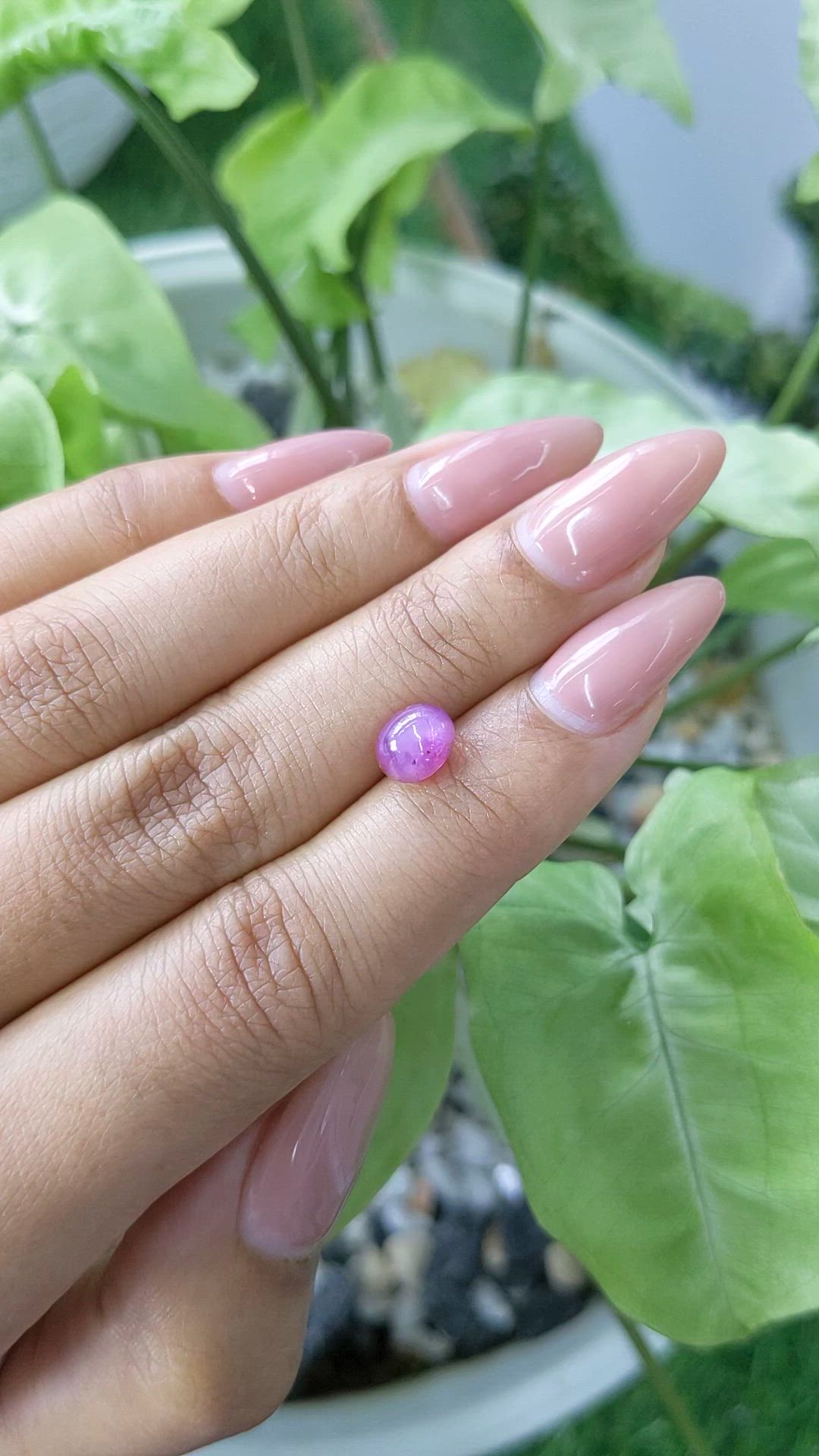 2.57 Ct. Pinkish Purple Star Sapphire from Ceylon (Sri Lanka) Size Video