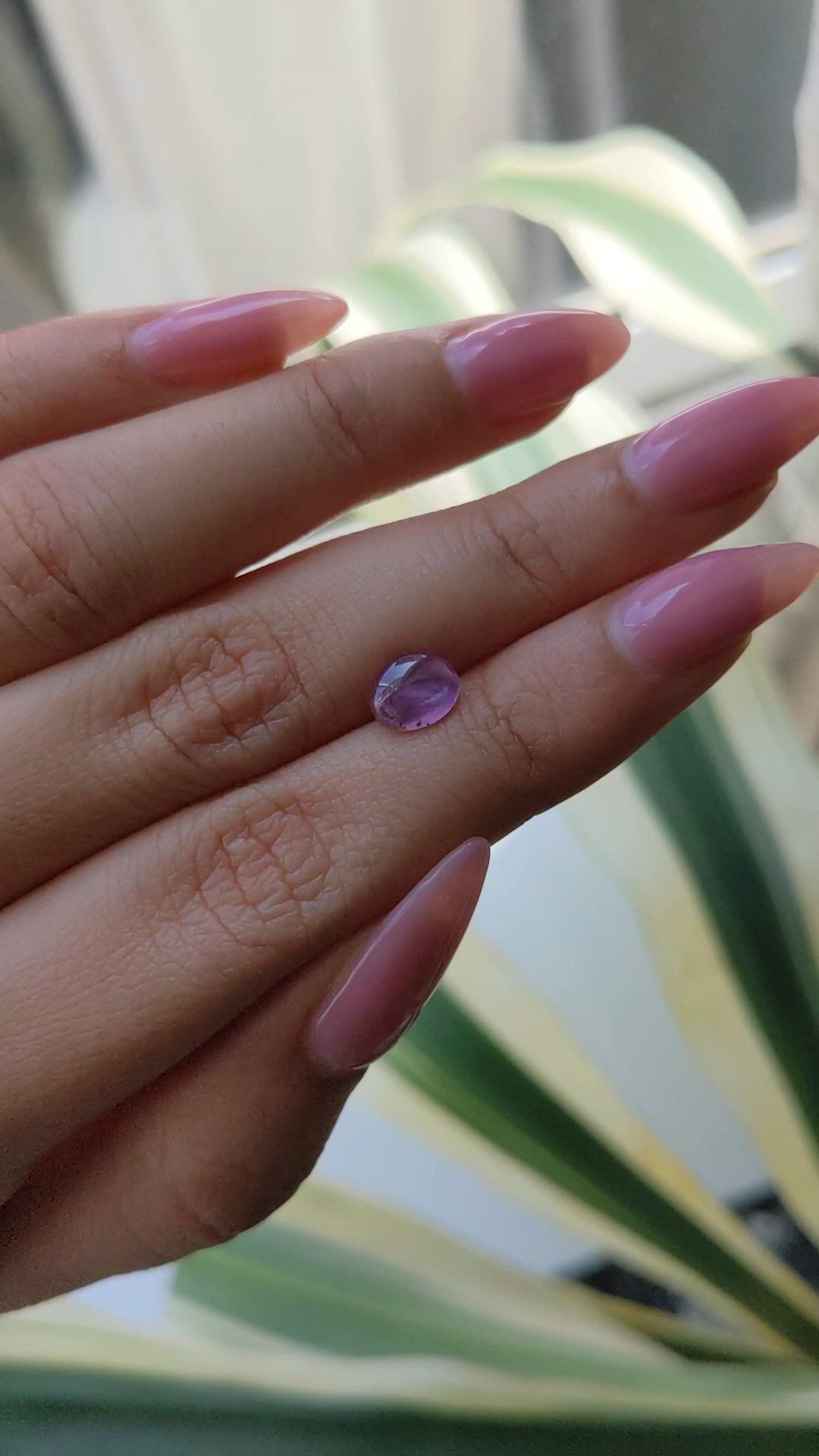 1.66 Ct. Pinkish Purple Star Sapphire from Ceylon (Sri Lanka) Size Video