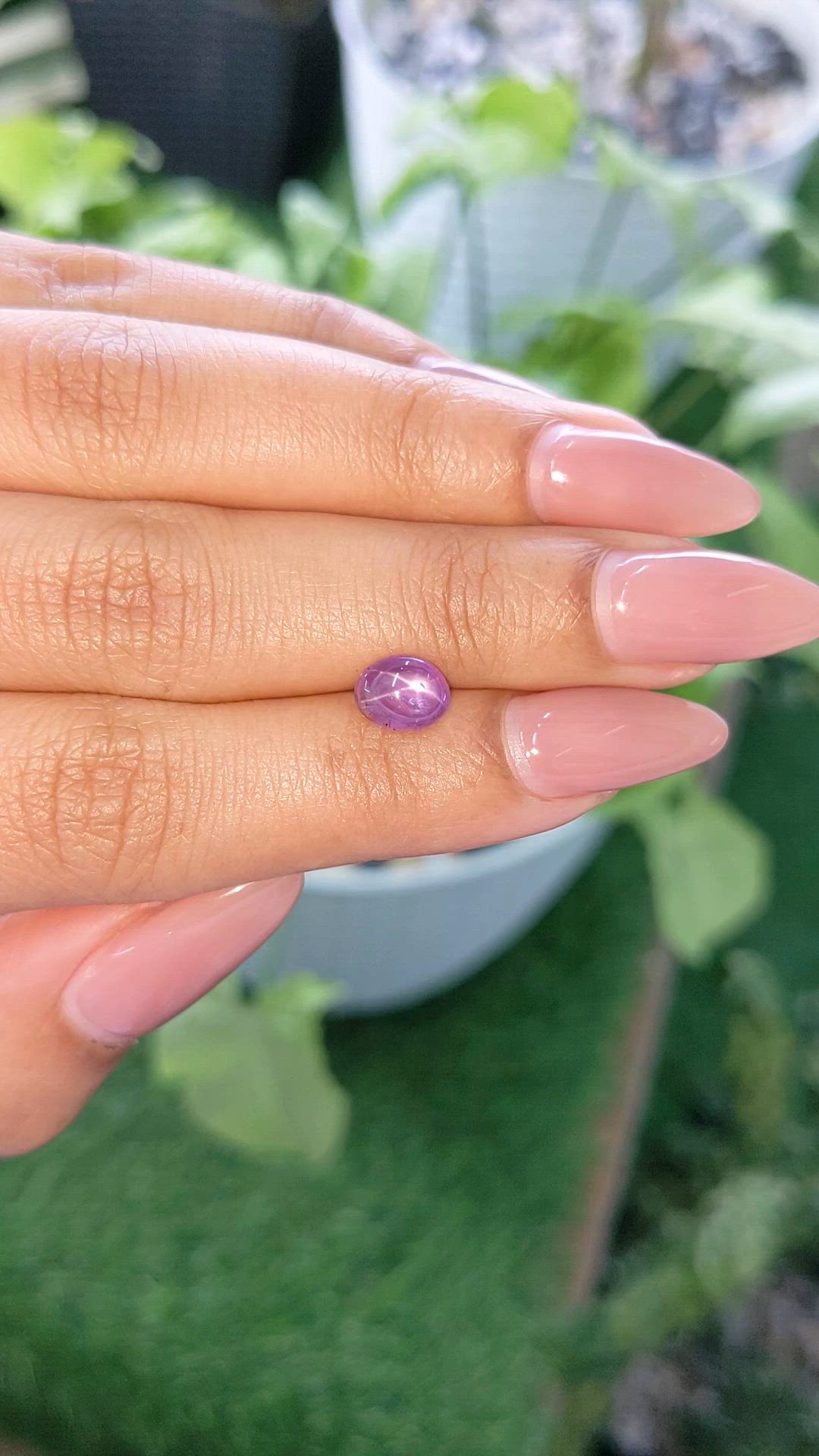 1.66 Ct. Pinkish Purple Star Sapphire from Ceylon (Sri Lanka) Size Video