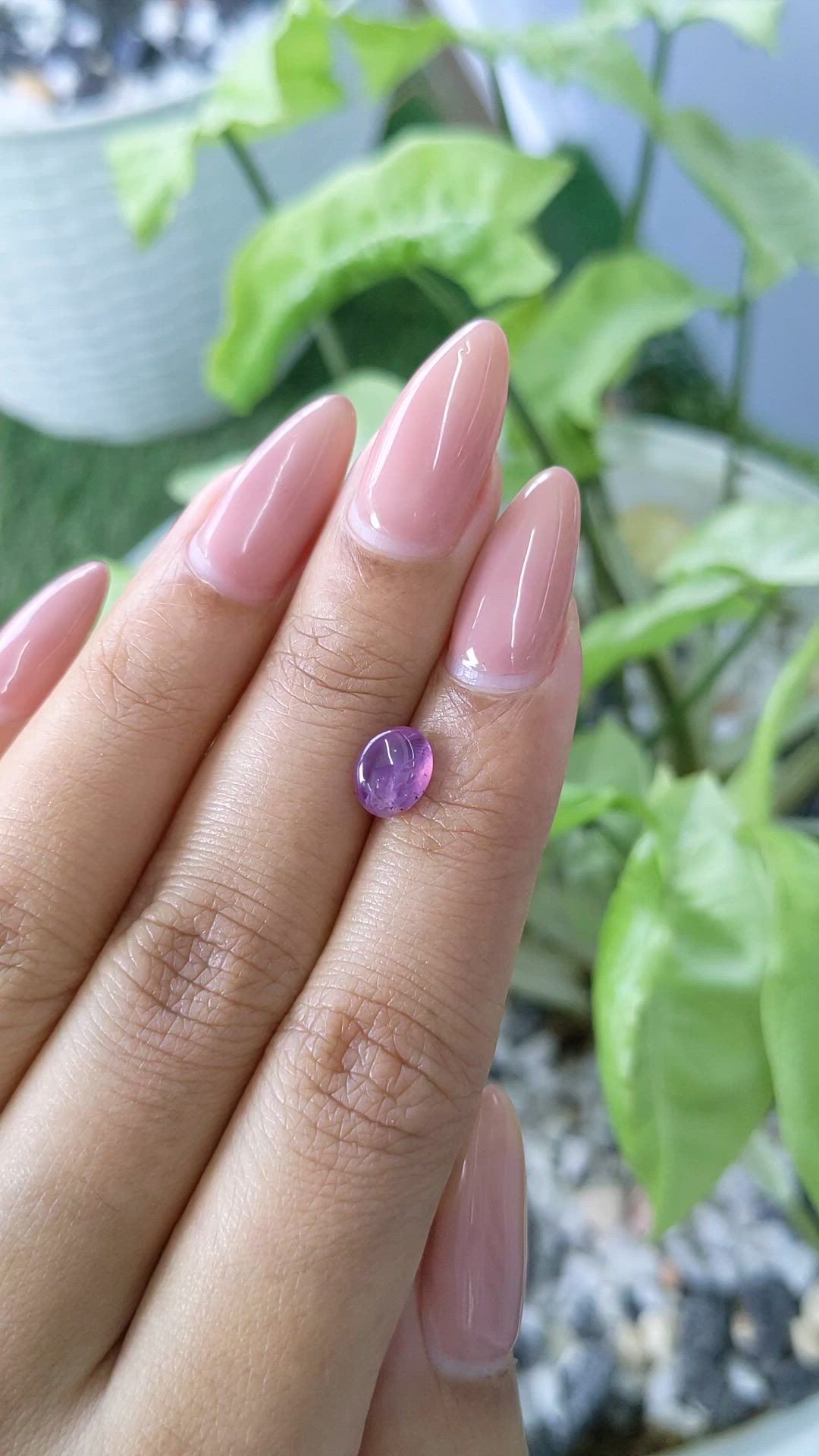 1.66 Ct. Pinkish Purple Star Sapphire from Ceylon (Sri Lanka) Size Video