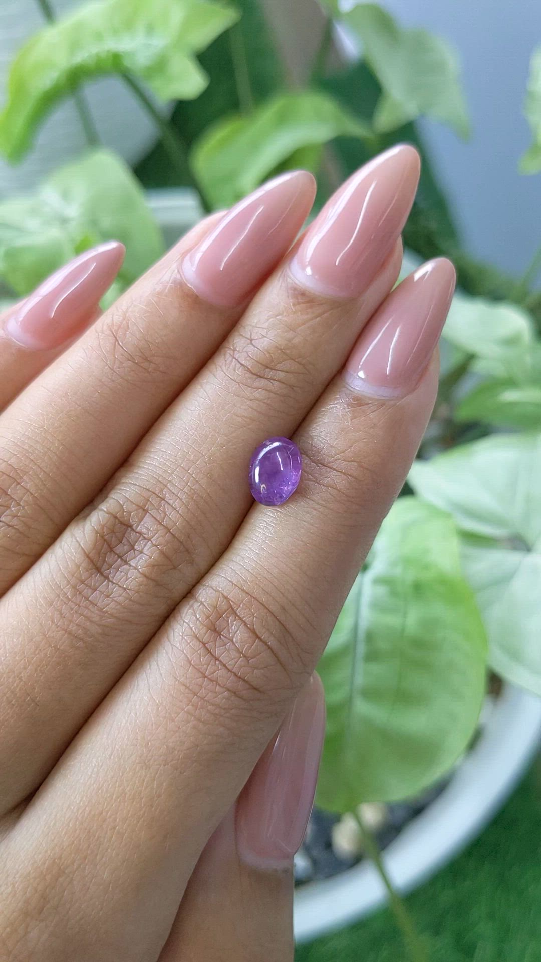 1.90 Ct. Purple Star Sapphire from Ceylon (Sri Lanka) Size Video