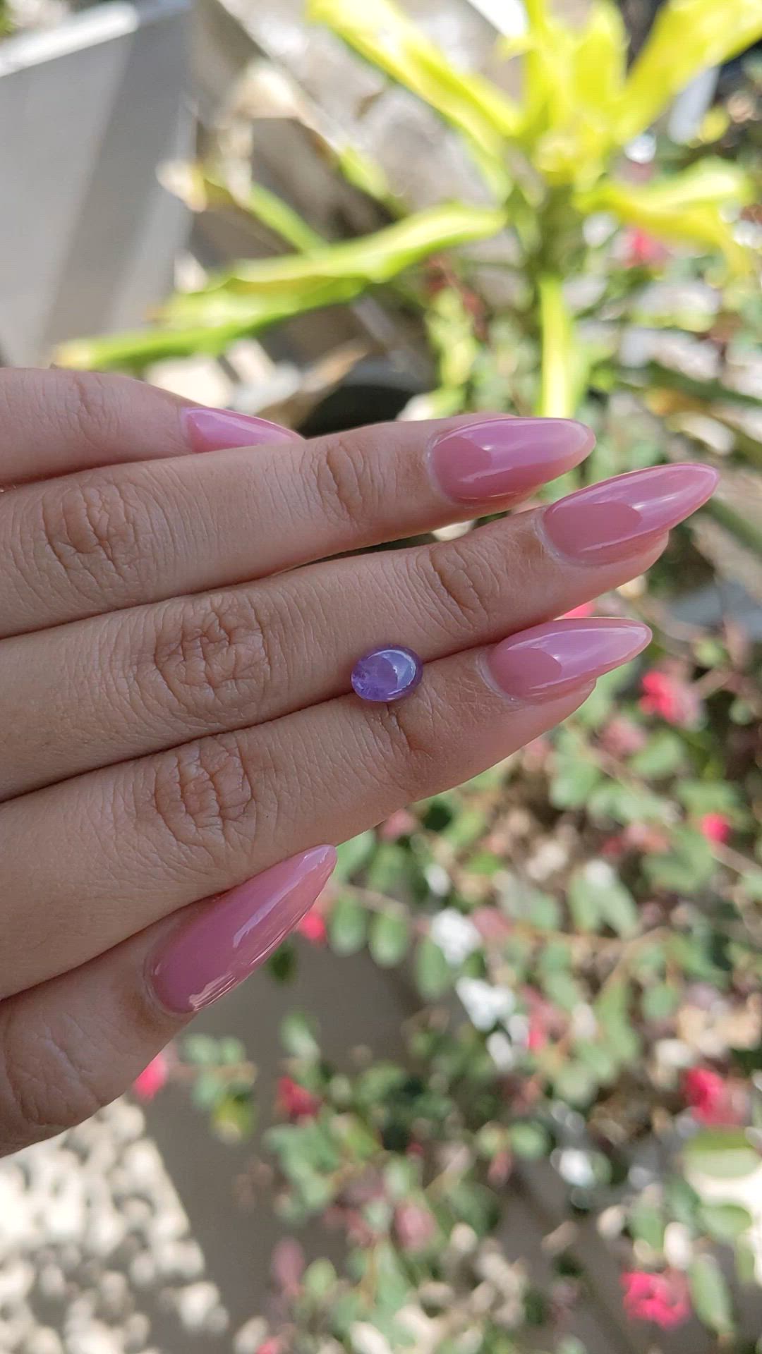 1.90 Ct. Purple Star Sapphire from Ceylon (Sri Lanka) Size Video