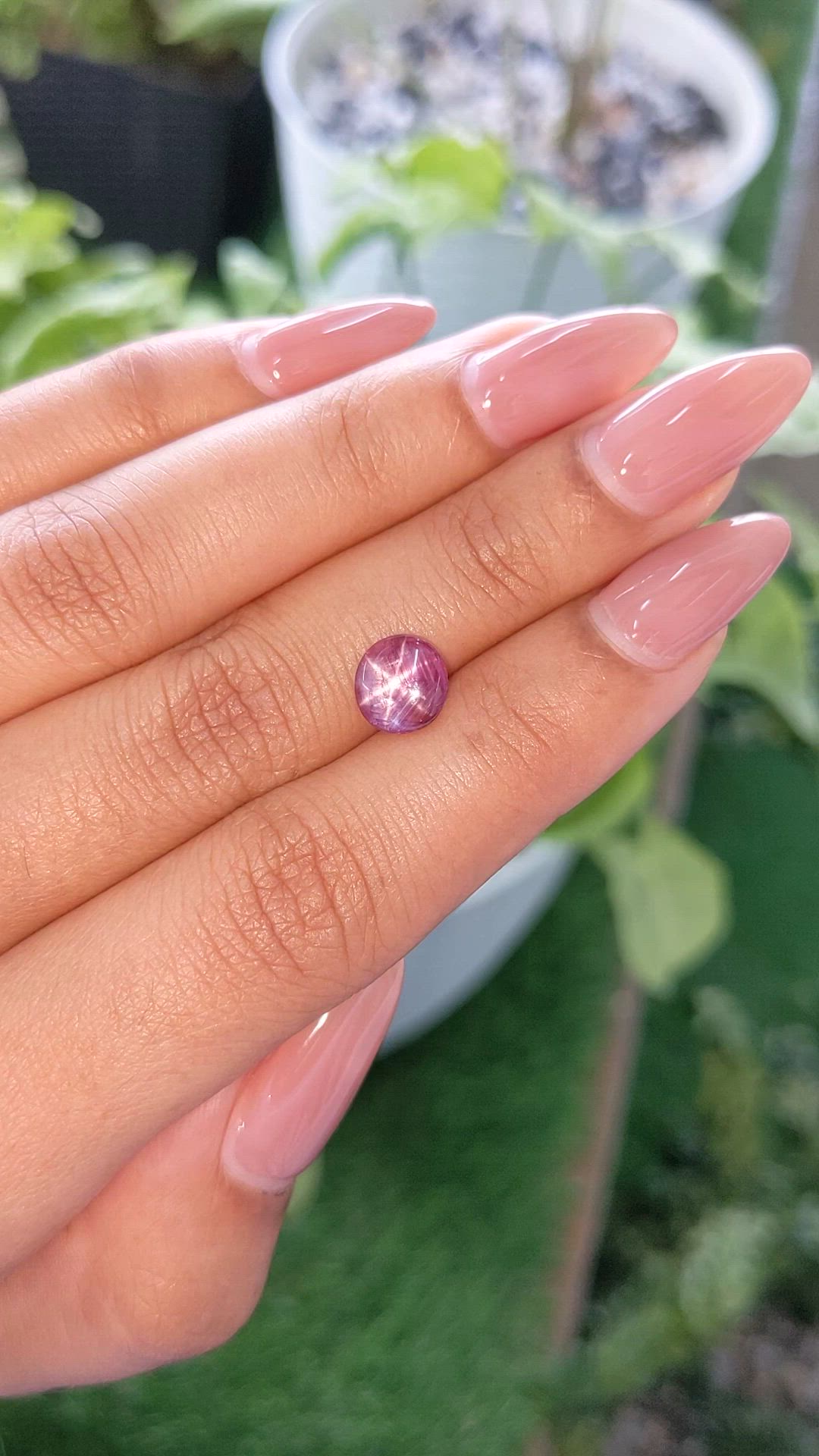 1.60 Ct. Purplish Pink Star Sapphire from Ceylon (Sri Lanka) Size Video