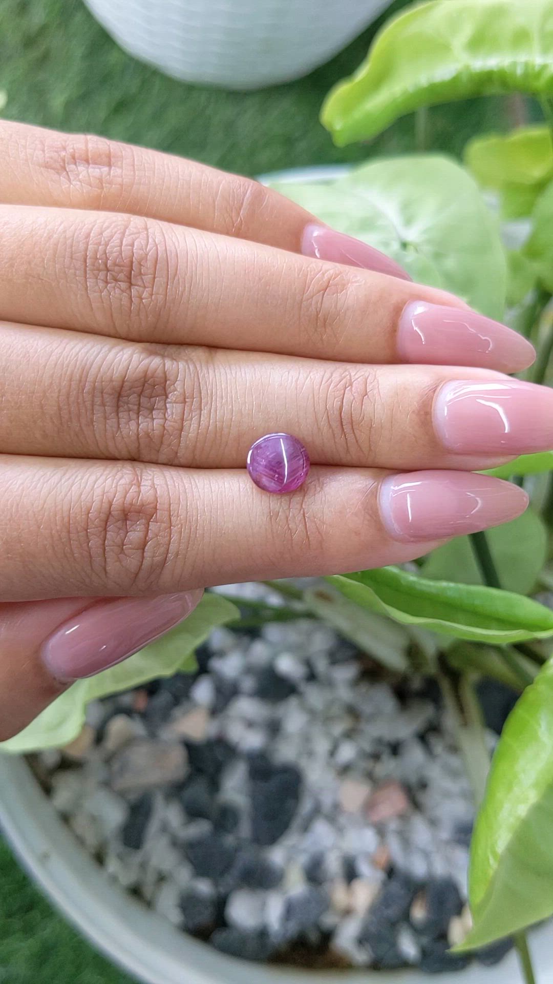 1.60 Ct. Purplish Pink Star Sapphire from Ceylon (Sri Lanka) Size Video