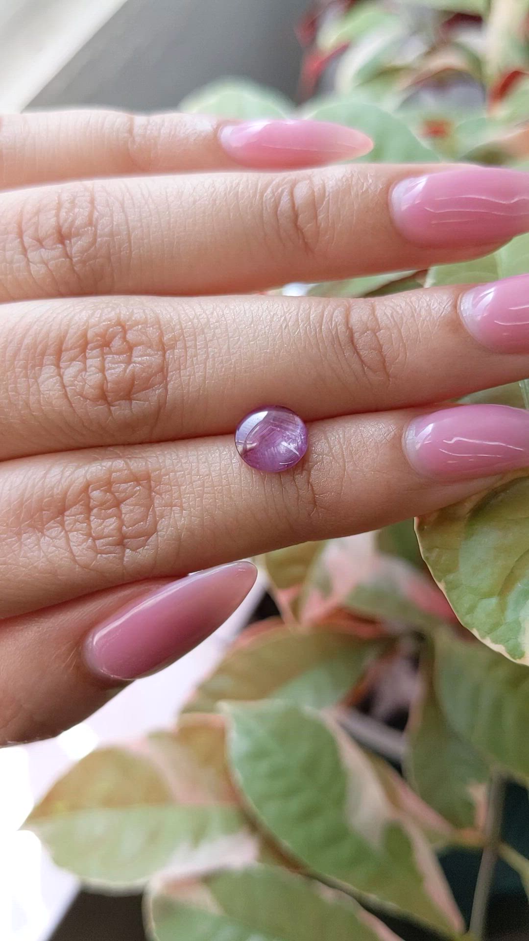 1.60 Ct. Purplish Pink Star Sapphire from Ceylon (Sri Lanka) Size Video