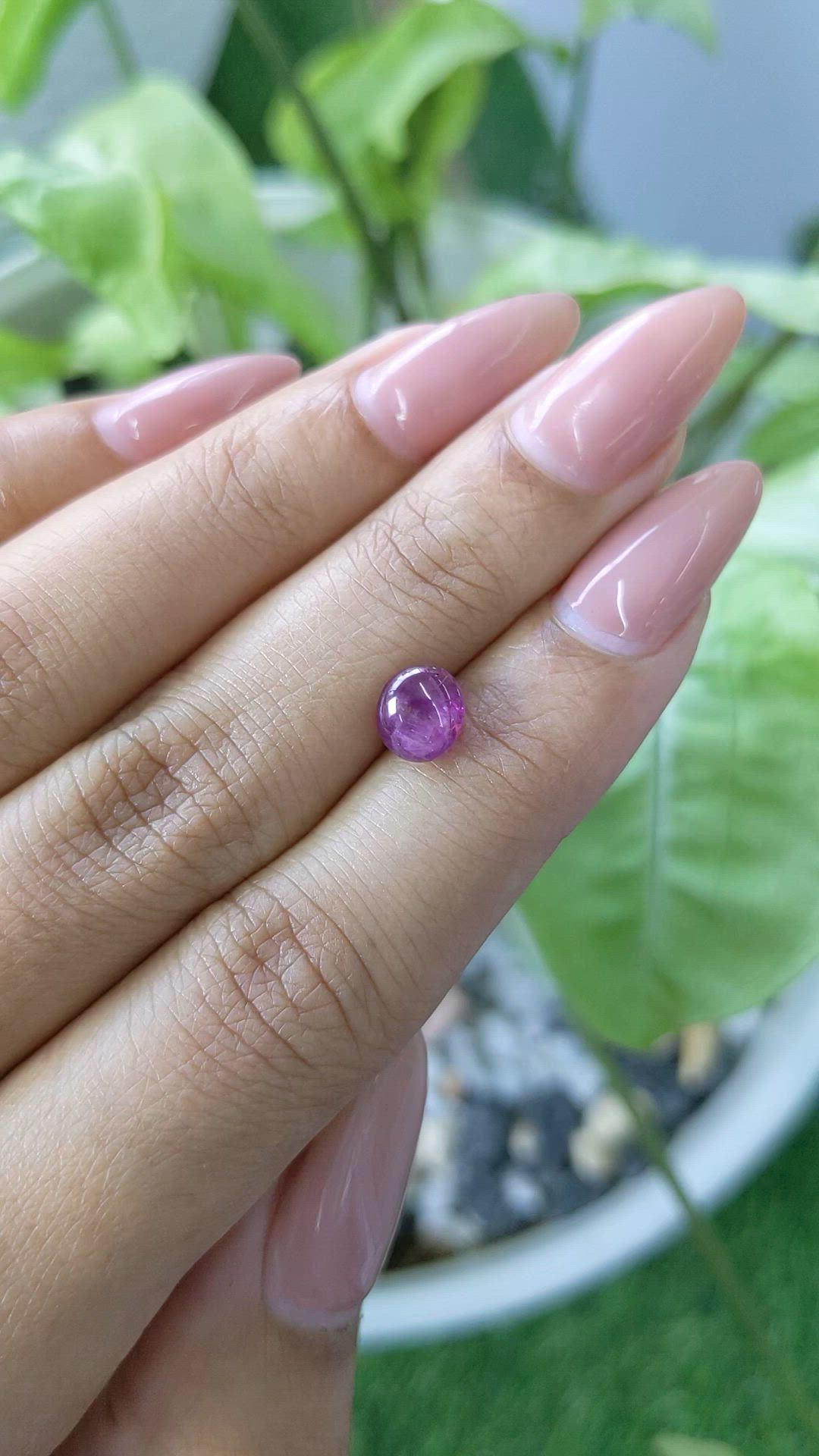 2.14 Ct. Purple Star Sapphire from Ceylon (Sri Lanka) Size Video