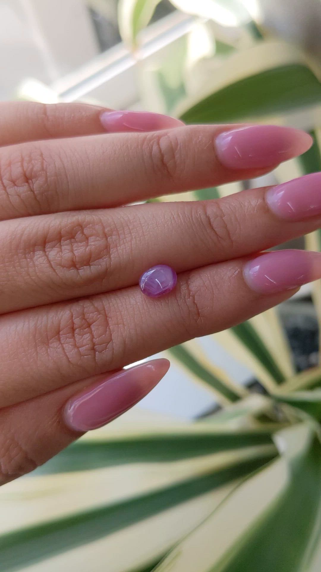 1.72 Ct. Purplish Pink Star Sapphire from Ceylon (Sri Lanka) Size Video