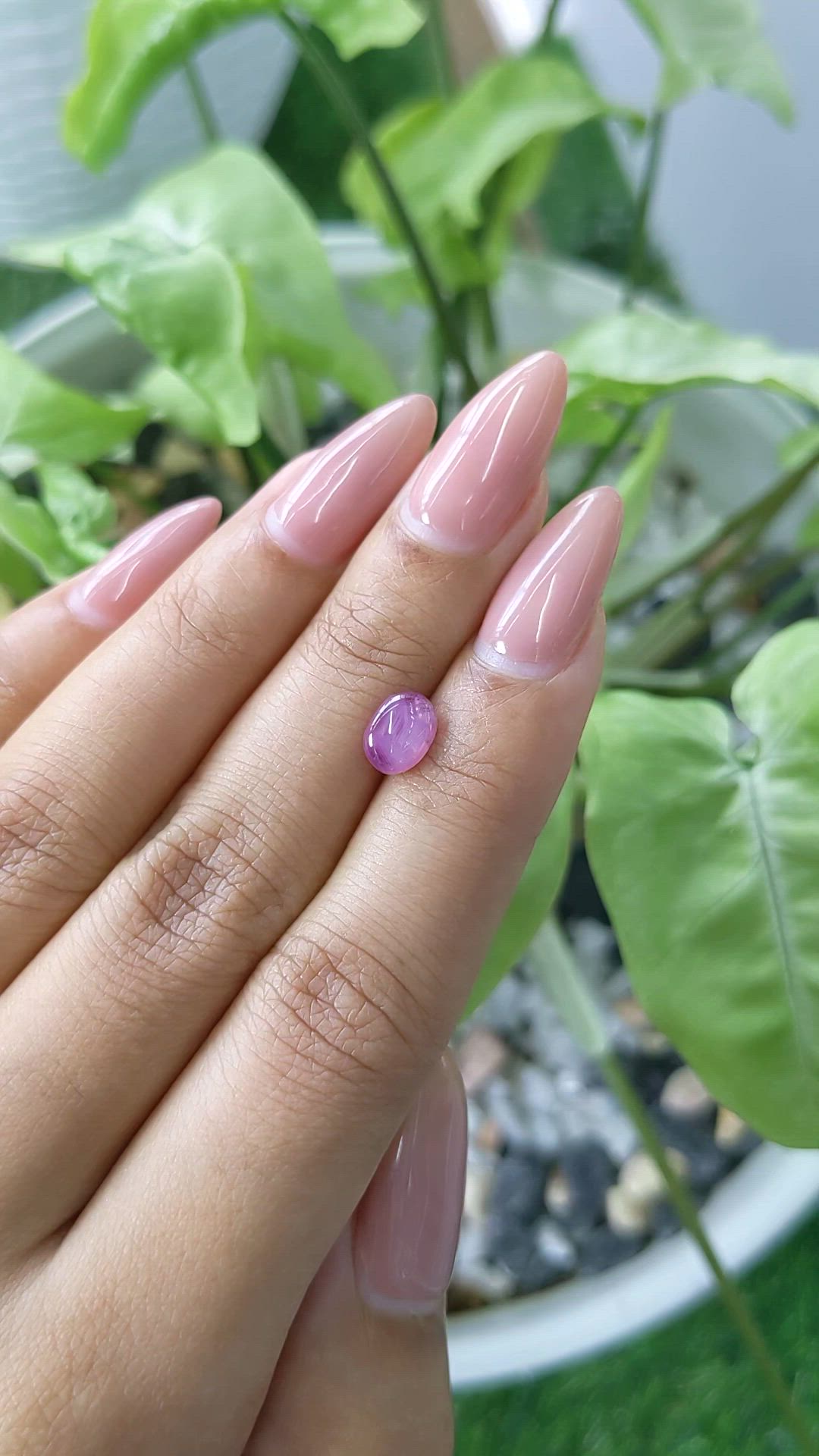 1.72 Ct. Purplish Pink Star Sapphire from Ceylon (Sri Lanka) Size Video