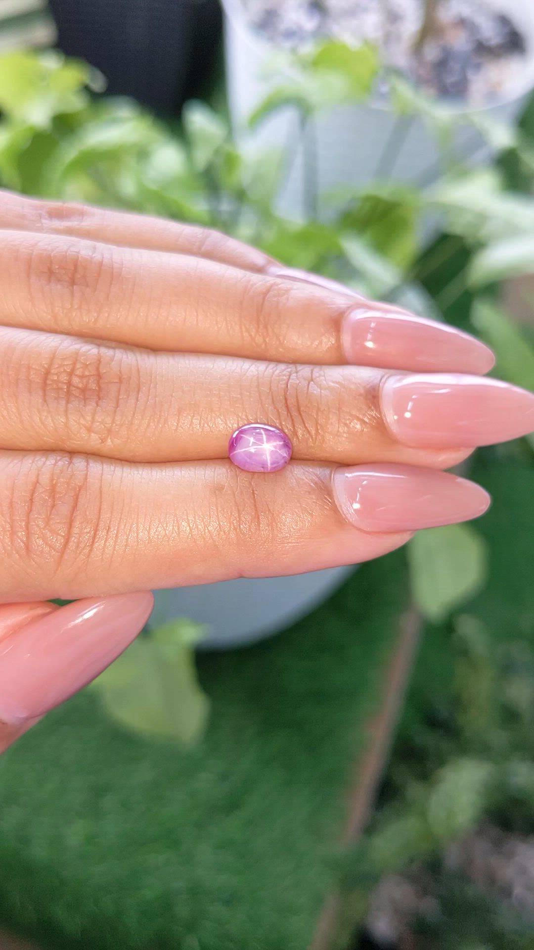 1.72 Ct. Purplish Pink Star Sapphire from Ceylon (Sri Lanka) Size Video