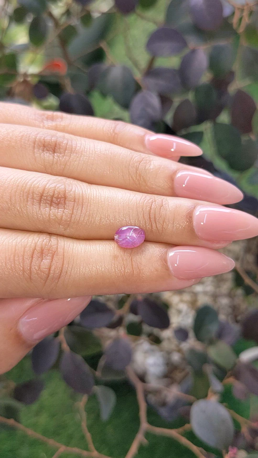 1.46 Ct. Purplish Pink Star Sapphire from Ceylon (Sri Lanka) Size Video