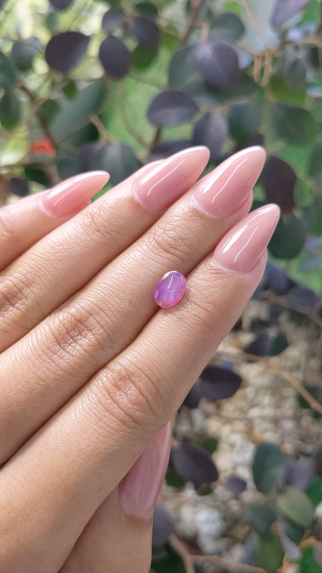 1.46 Ct. Purplish Pink Star Sapphire from Ceylon (Sri Lanka) Size Video